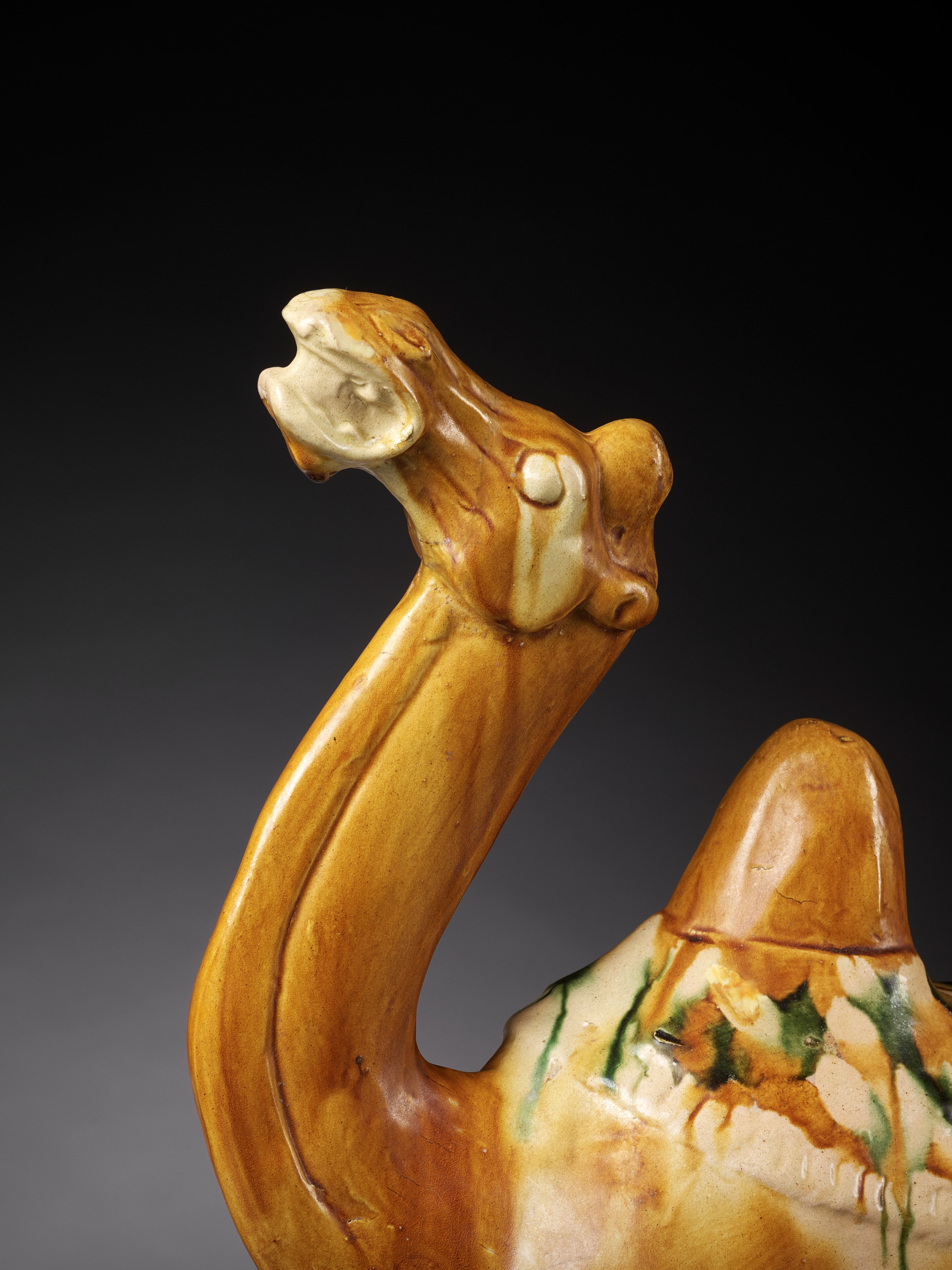 A SANCAI-GLAZED POTTERY FIGURE OF A BACTRIAN CAMEL, TANG DYNASTY - Image 3 of 15