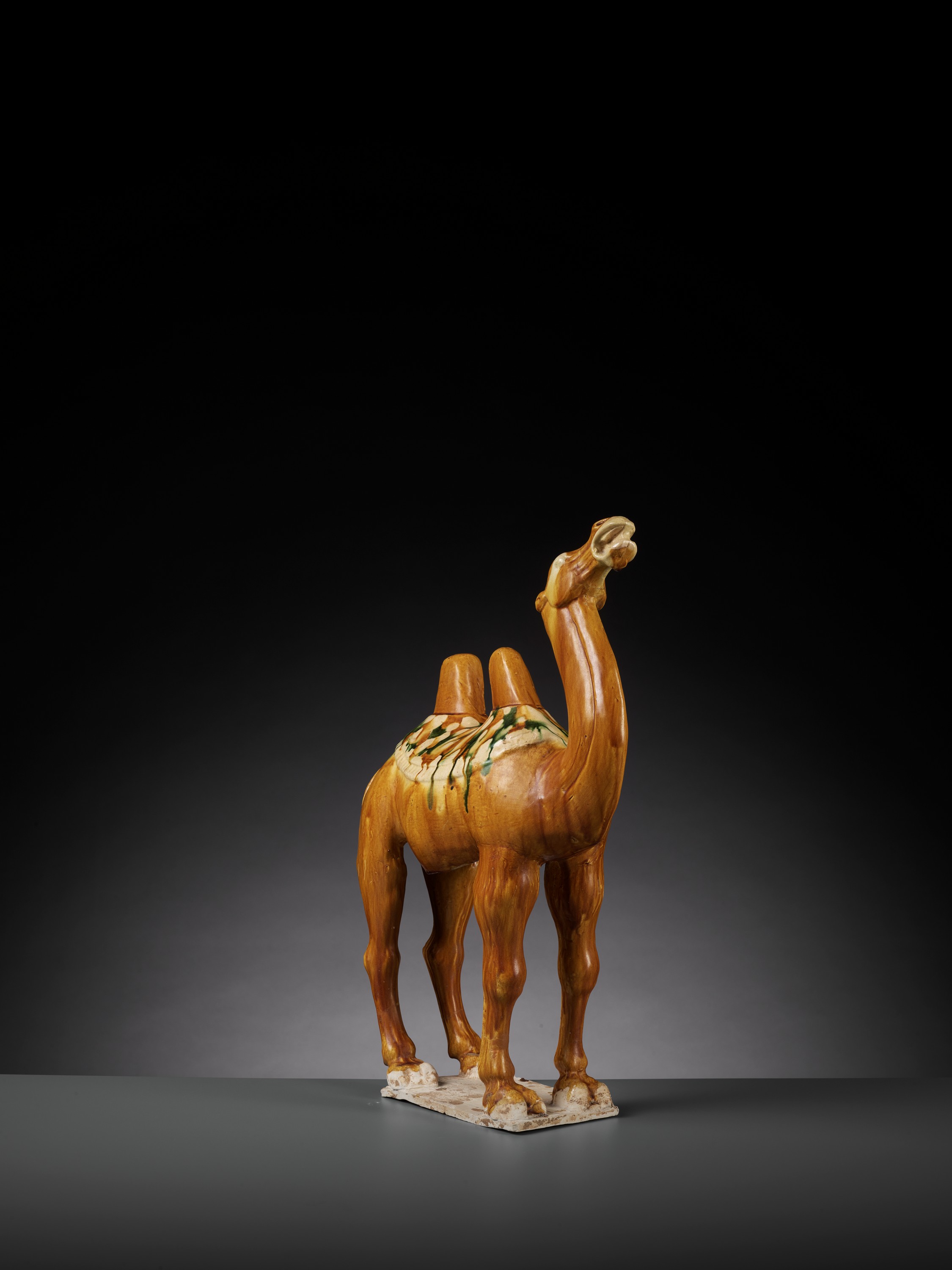 A SANCAI-GLAZED POTTERY FIGURE OF A BACTRIAN CAMEL, TANG DYNASTY - Image 7 of 15