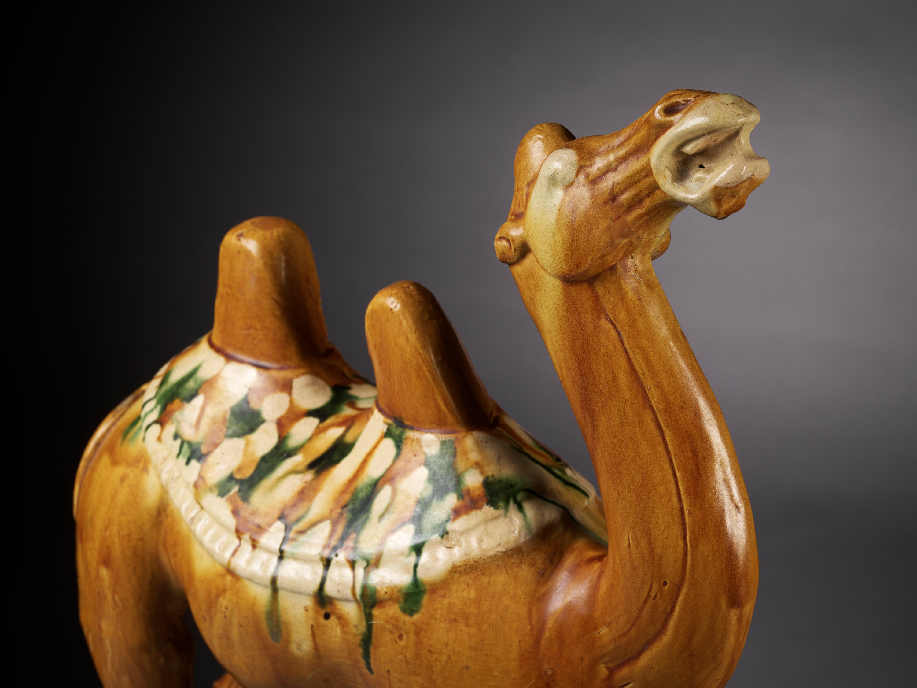 A SANCAI-GLAZED POTTERY FIGURE OF A BACTRIAN CAMEL, TANG DYNASTY - Image 4 of 15