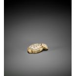 AN OLD IVORY NETSUKE OF A TURTLE WITH YOUNG