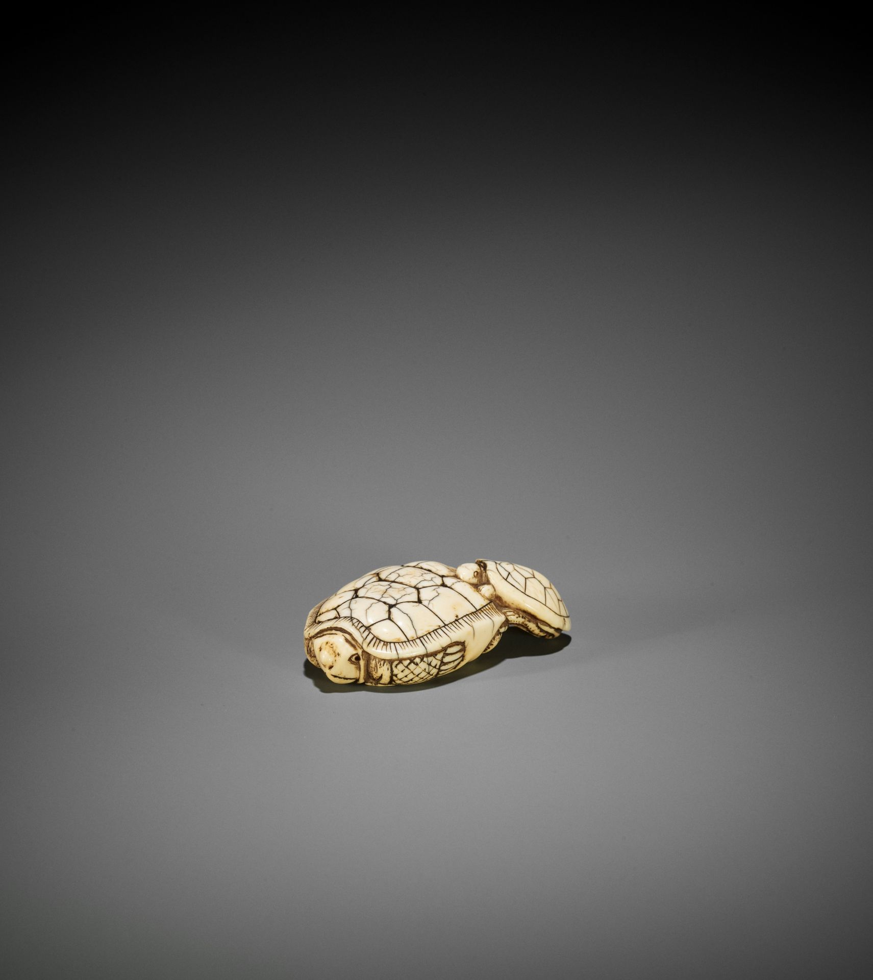 AN OLD IVORY NETSUKE OF A TURTLE WITH YOUNG
