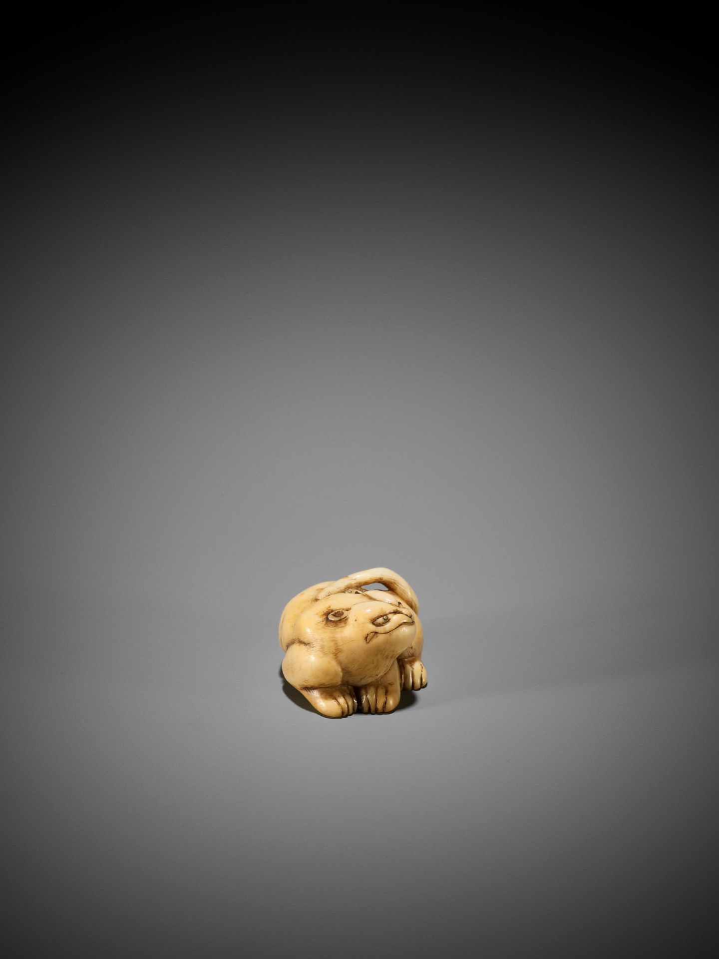 A RARE IVORY ASHTRAY NETSUKE OF A TIGER - Image 8 of 8