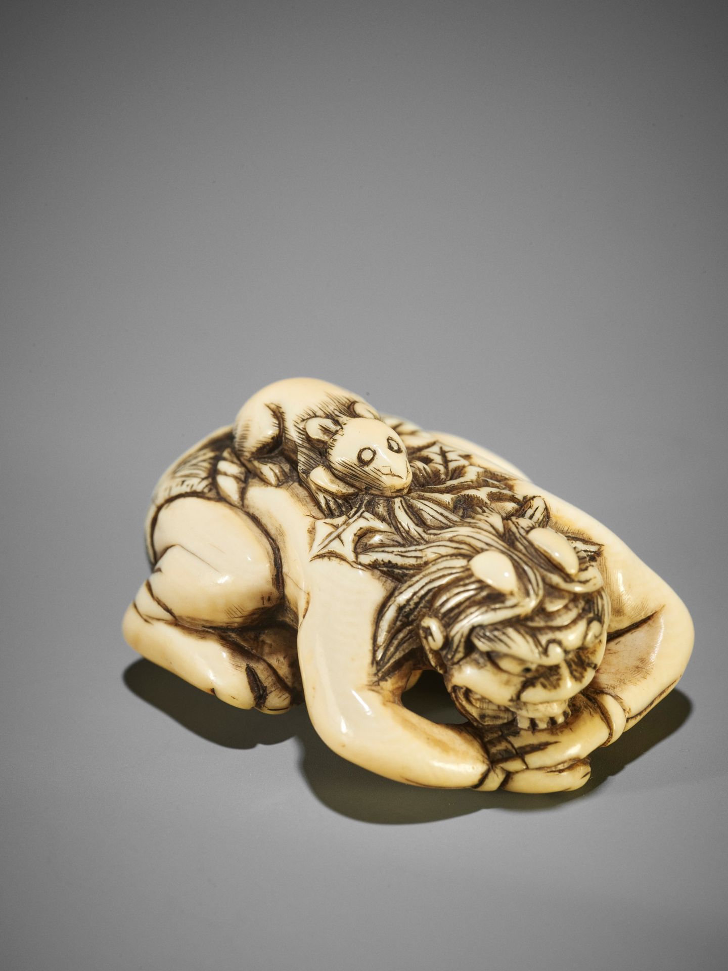 A RARE IVORY NETSUKE OF SHIRO - Bild 4 aus 10