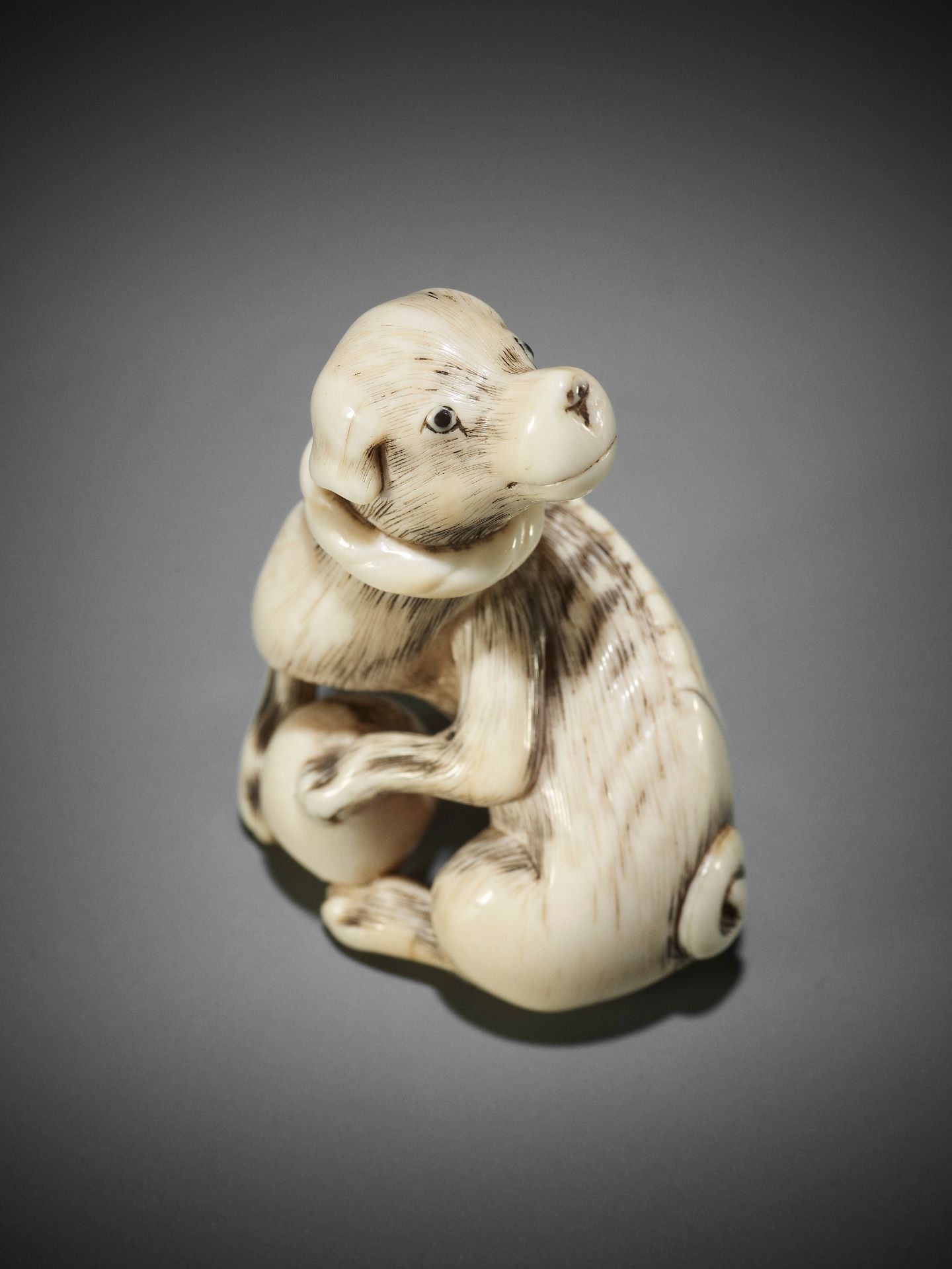 AN IVORY NETSUKE OF A DOG WITH BALL, ATTRIBUTED TO MITSUHARU - Image 12 of 14