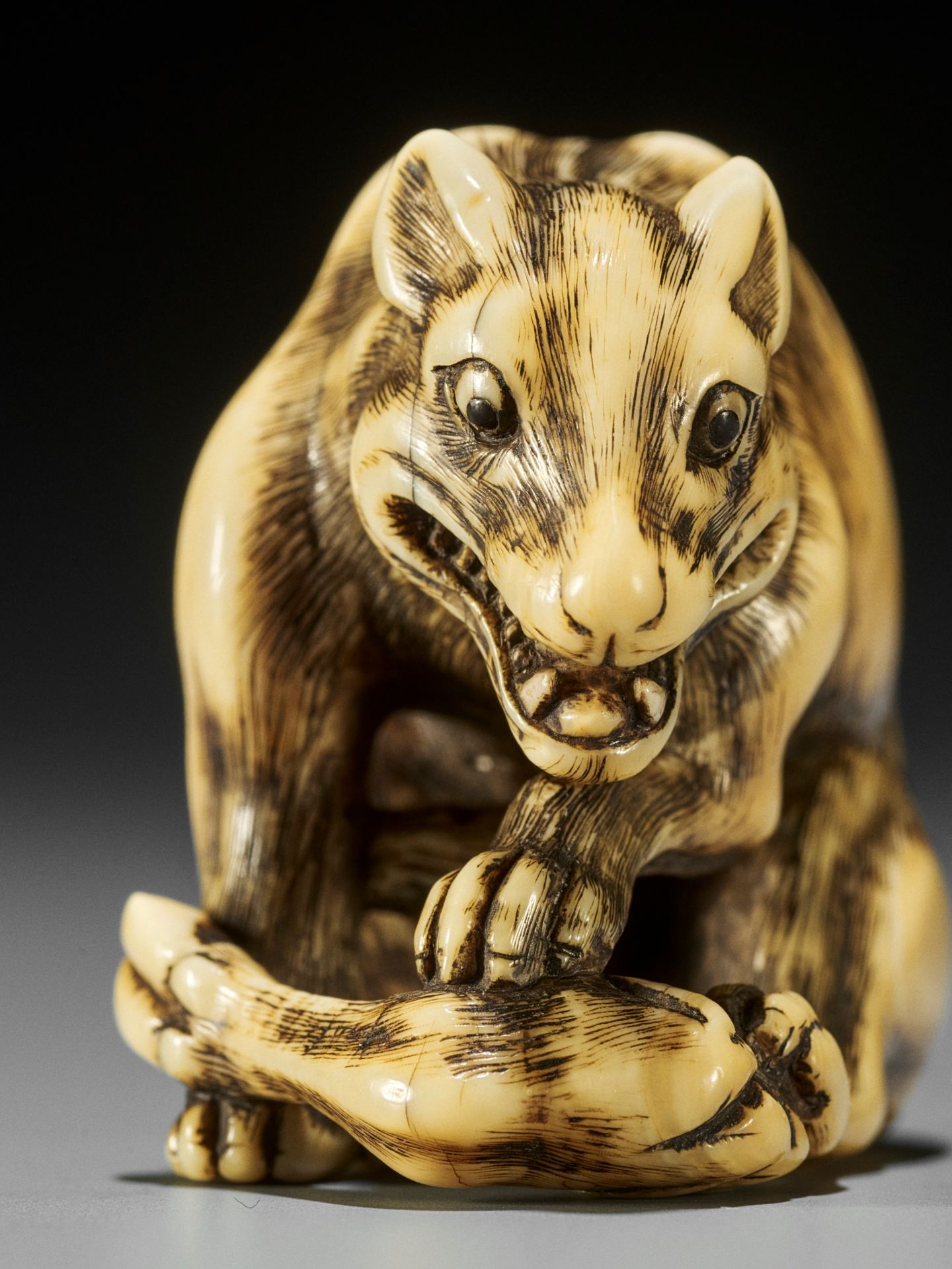 TOMOTADA: A FINE IVORY NETSUKE OF A WOLF WITH HAUNCH OF VENISON - Image 6 of 18