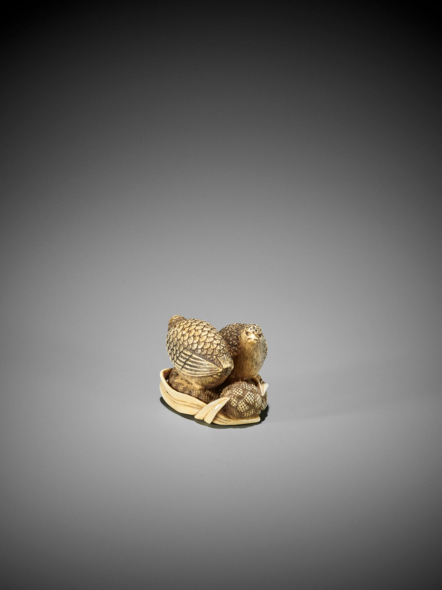 OKATOMO: AN IVORY NETSUKE OF TWO QUAILS ON MILLET - Image 5 of 9