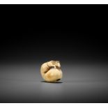 A CHARMING SMALL IVORY NETSUKE OF CHOKARO'S HORSE IN A GOURD