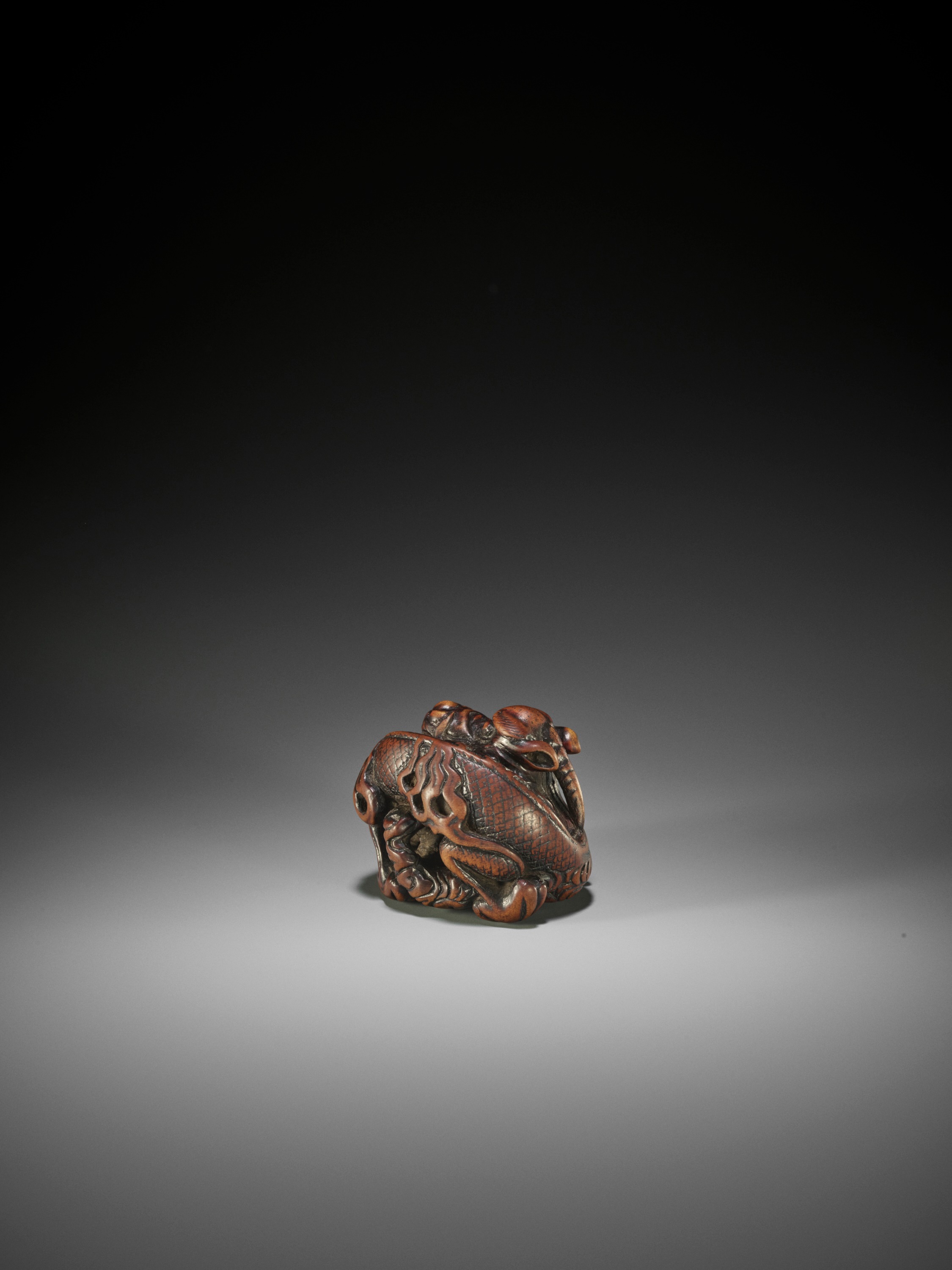 A POWERFUL AND RARE WOOD NETSUKE OF A COILED DRAGON, ATTRIBUTED TO MITSUHARU - Image 6 of 10