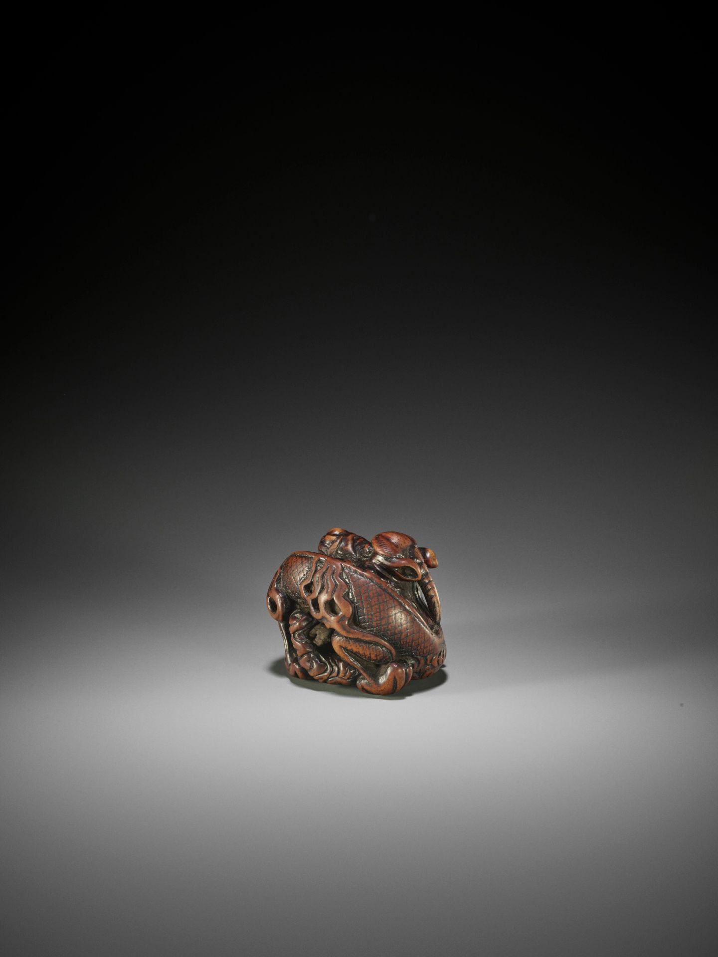 A POWERFUL AND RARE WOOD NETSUKE OF A COILED DRAGON, ATTRIBUTED TO MITSUHARU - Bild 6 aus 10