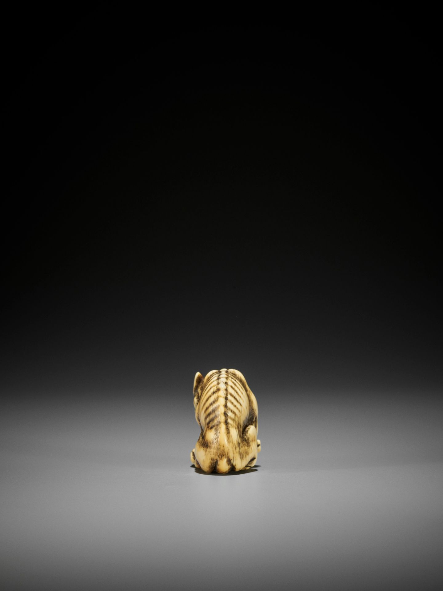 TOMOTADA: A FINE IVORY NETSUKE OF A WOLF WITH HAUNCH OF VENISON - Image 13 of 18