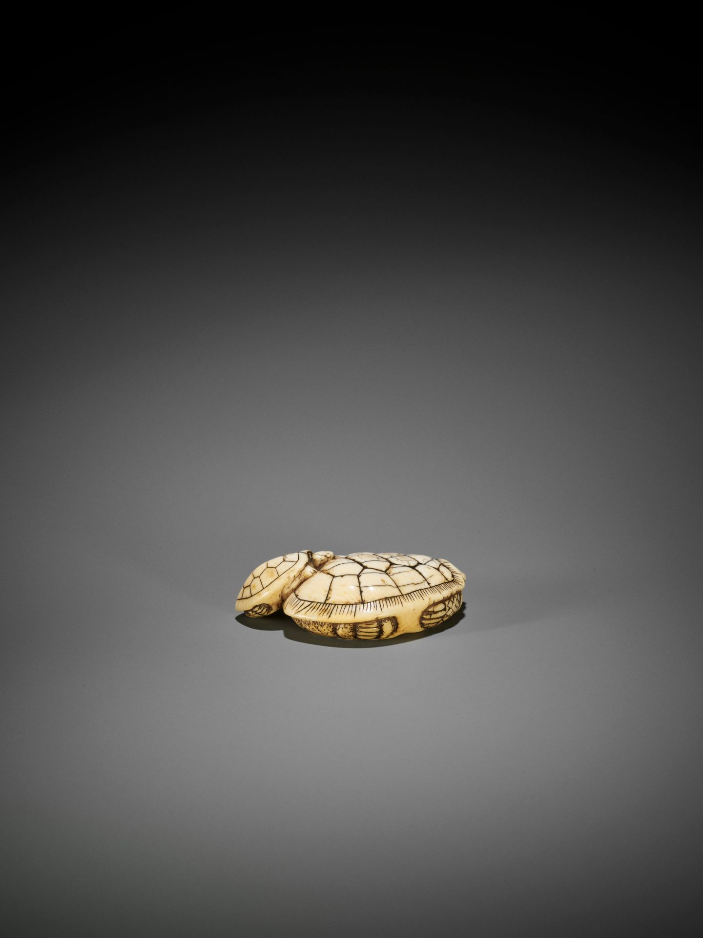 AN OLD IVORY NETSUKE OF A TURTLE WITH YOUNG - Bild 7 aus 10