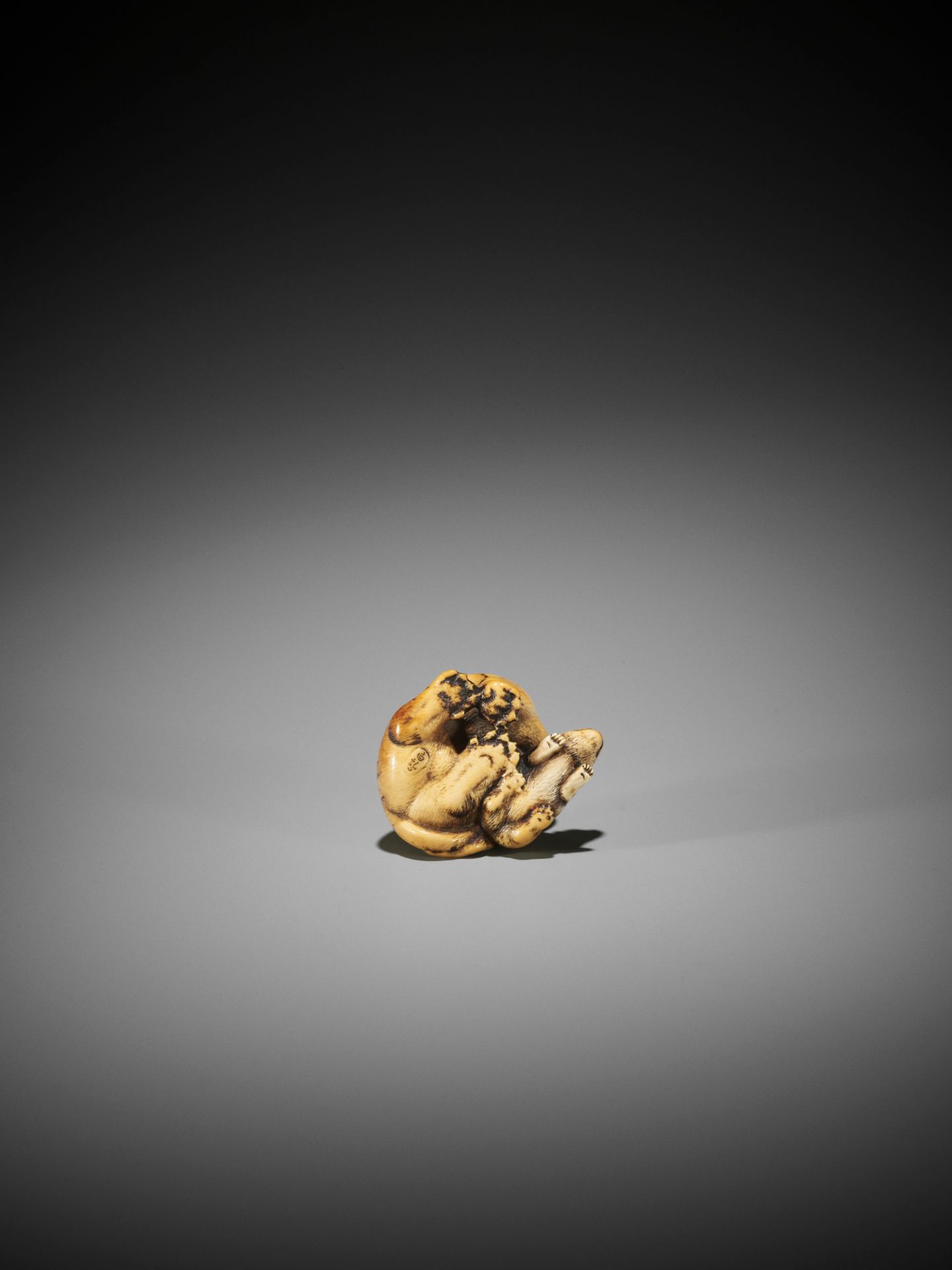 HAKURYU I: A SUPERB IVORY NETSUKE OF A TIGER AND CUB - Image 9 of 12