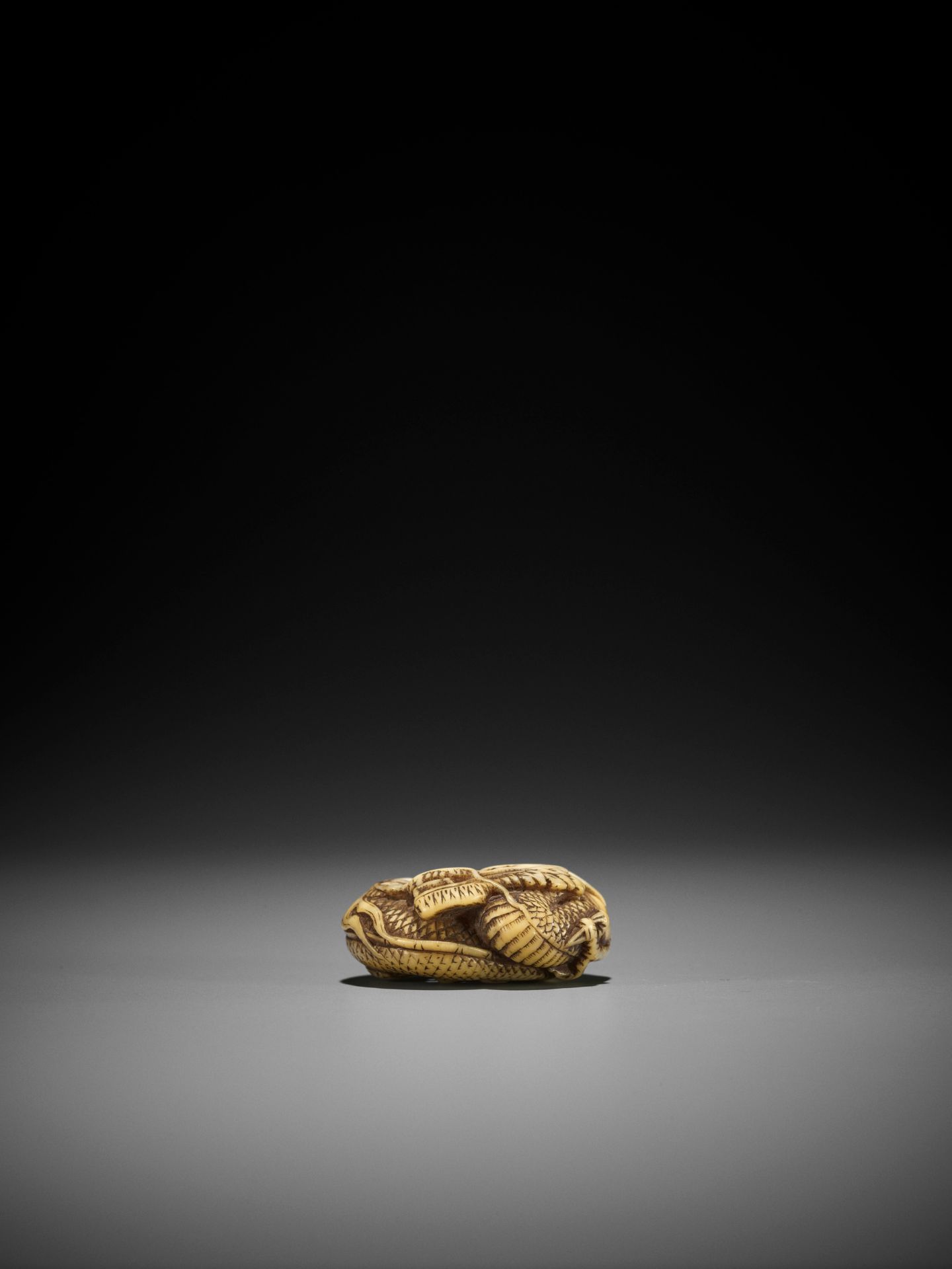 A FINE WALRUS TOOTH MANJU NETSUKE OF A COILED DRAGON - Image 8 of 8