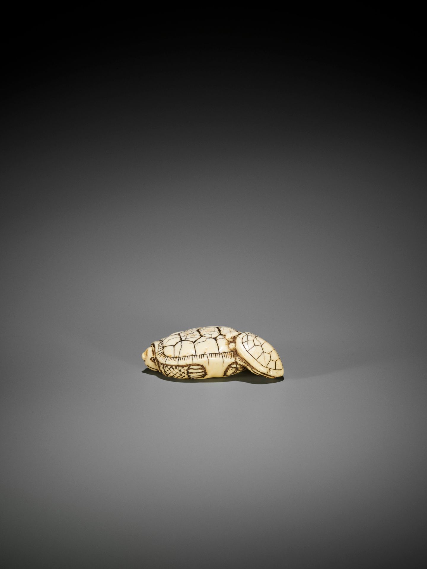 AN OLD IVORY NETSUKE OF A TURTLE WITH YOUNG - Bild 9 aus 10