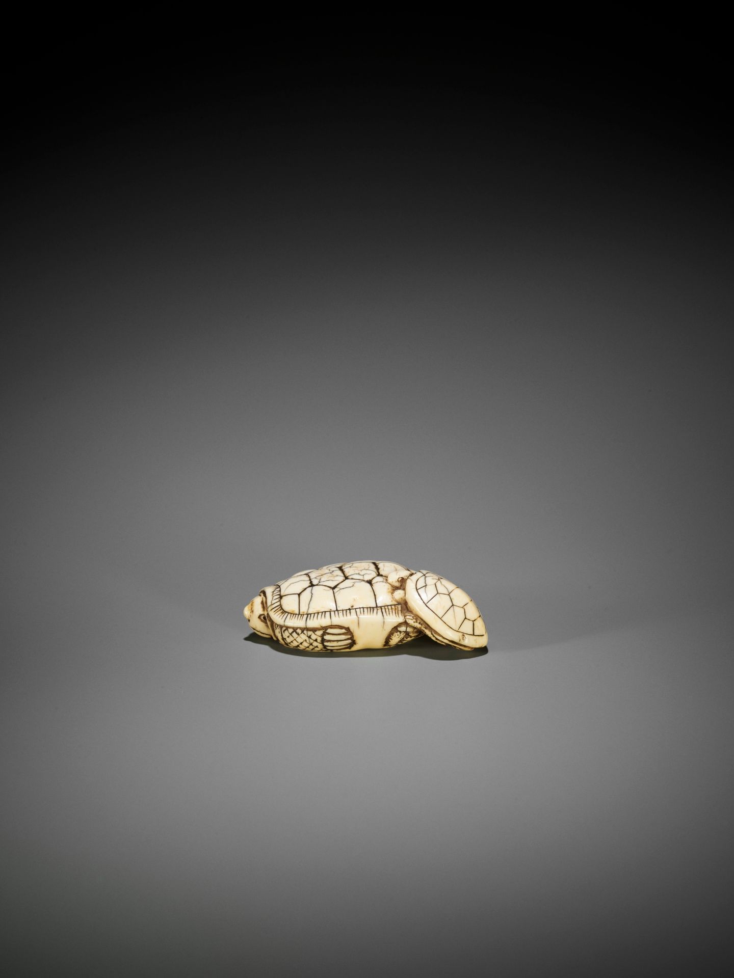AN OLD IVORY NETSUKE OF A TURTLE WITH YOUNG - Image 9 of 10