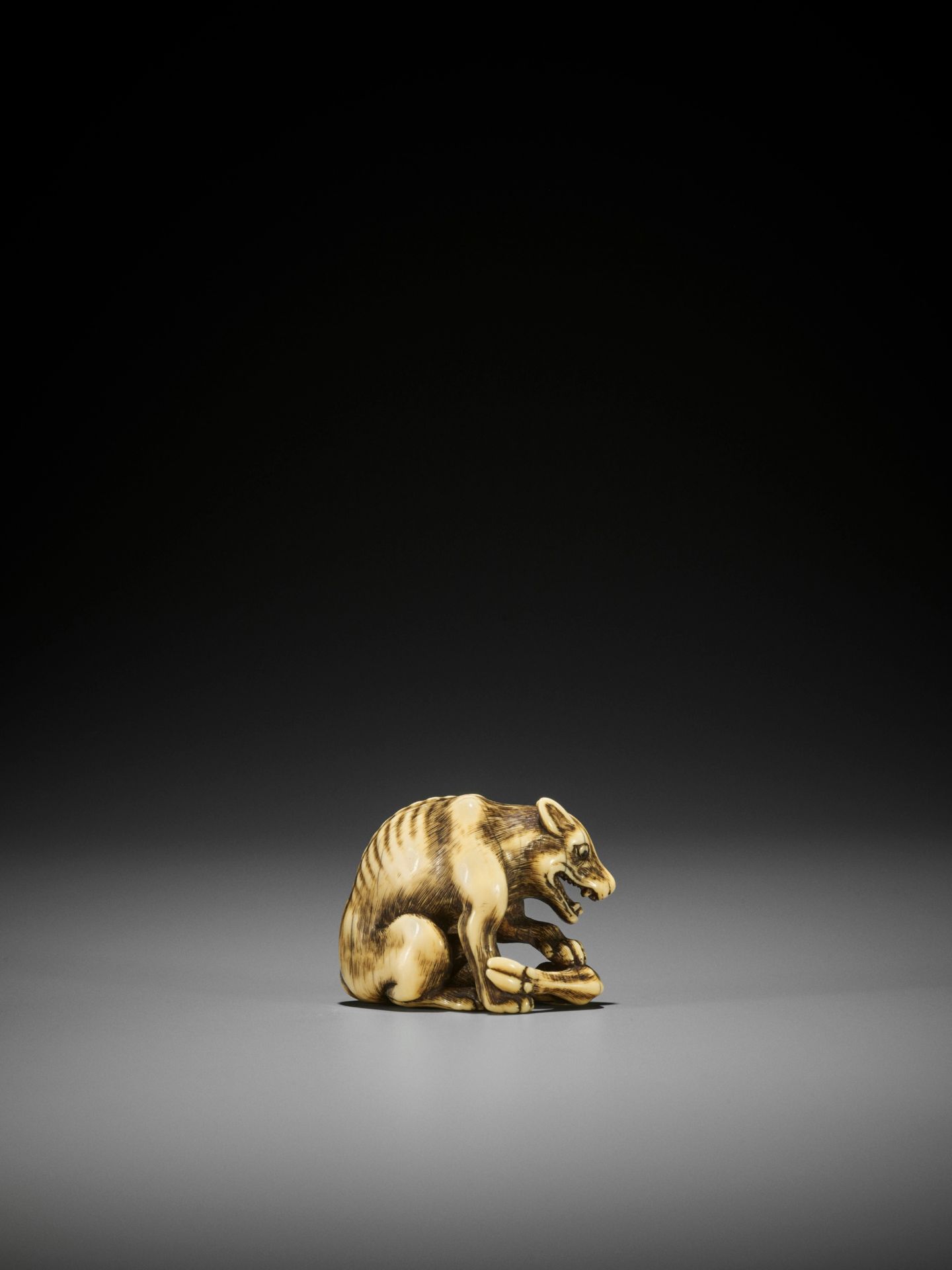 TOMOTADA: A FINE IVORY NETSUKE OF A WOLF WITH HAUNCH OF VENISON - Image 3 of 18