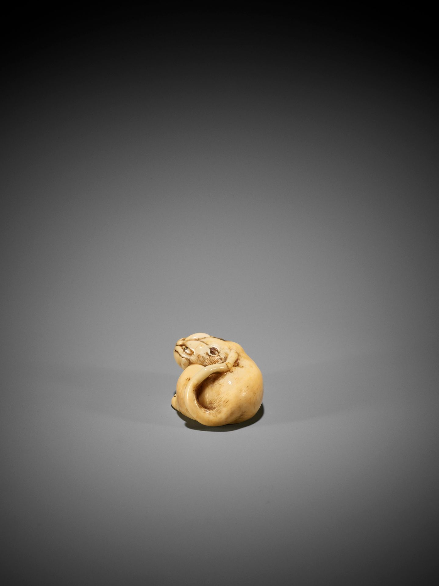 A RARE IVORY ASHTRAY NETSUKE OF A TIGER - Image 6 of 8