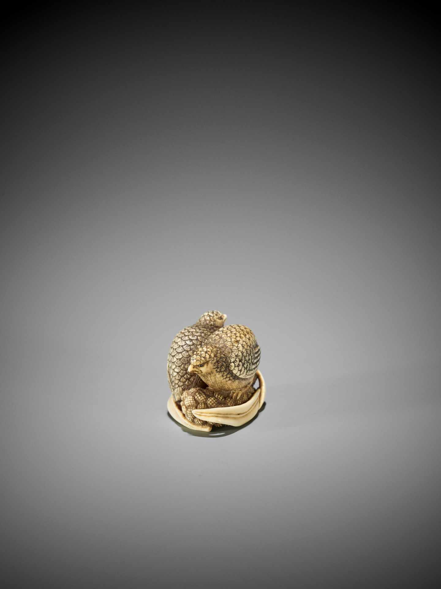 OKATOMO: AN IVORY NETSUKE OF TWO QUAILS ON MILLET - Image 6 of 9