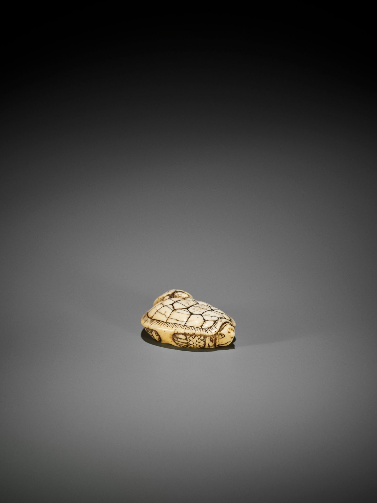 AN OLD IVORY NETSUKE OF A TURTLE WITH YOUNG - Bild 6 aus 10