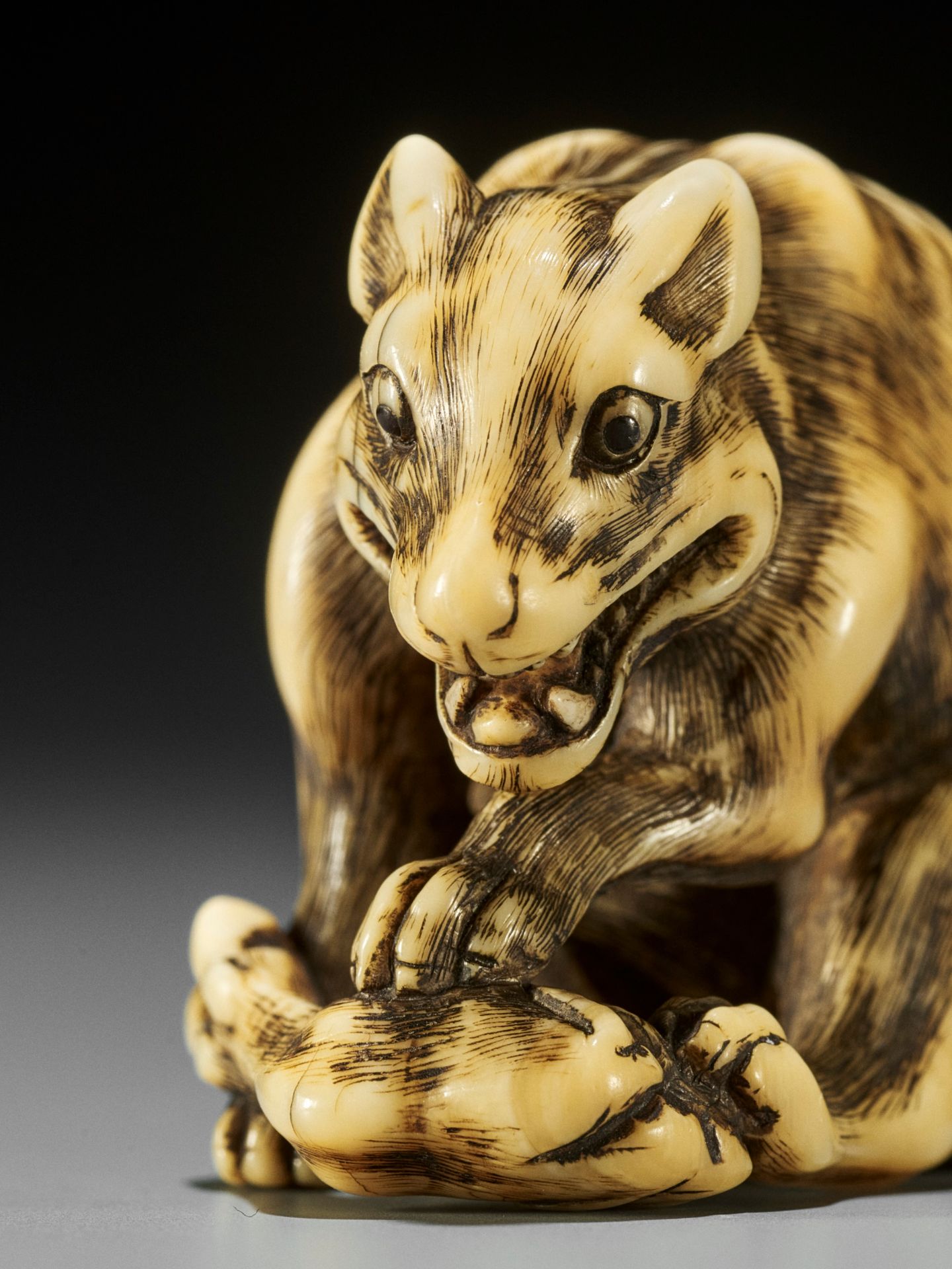 TOMOTADA: A FINE IVORY NETSUKE OF A WOLF WITH HAUNCH OF VENISON - Image 7 of 18