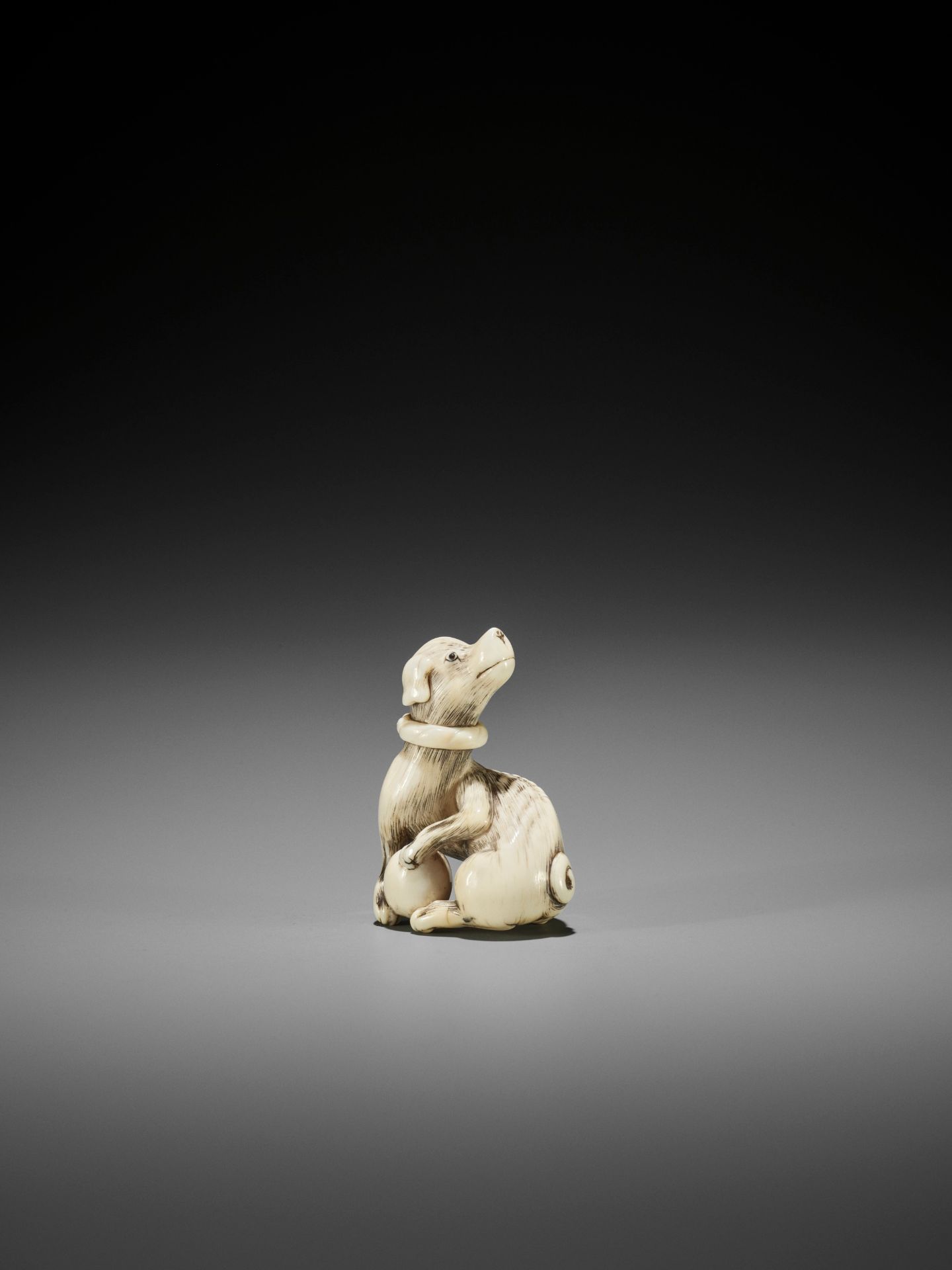 AN IVORY NETSUKE OF A DOG WITH BALL, ATTRIBUTED TO MITSUHARU - Image 4 of 14