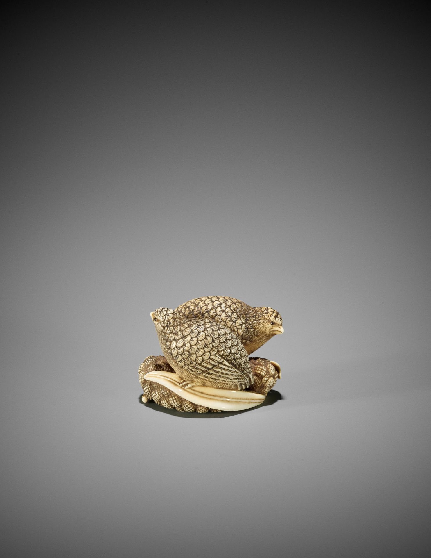 OKATOMO: AN IVORY NETSUKE OF TWO QUAILS ON MILLET