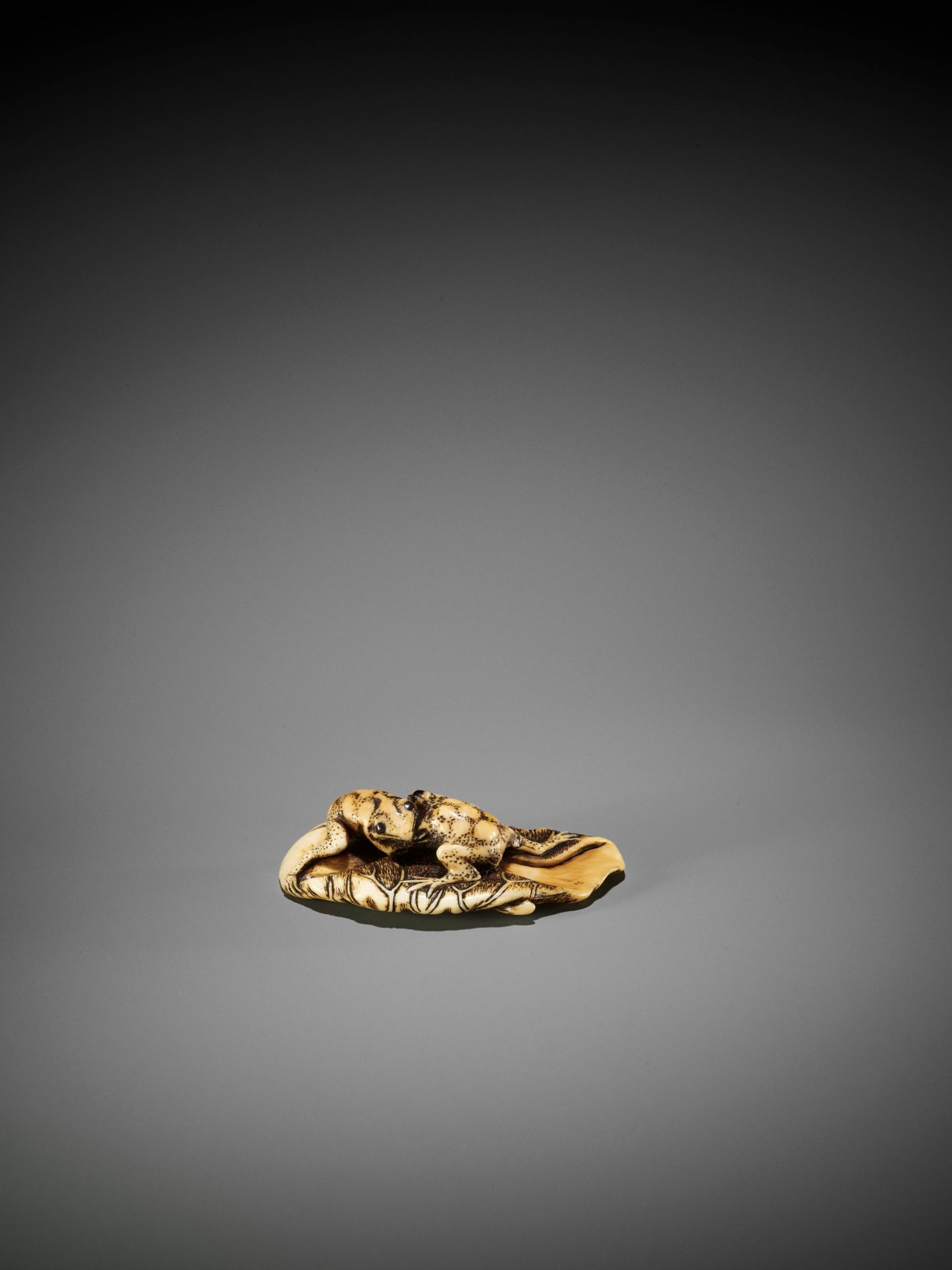 YOSHITOMO: AN IVORY NETSUKE OF TWO FROGS WRESTLING ON A LOTUS LEAF - Image 2 of 11