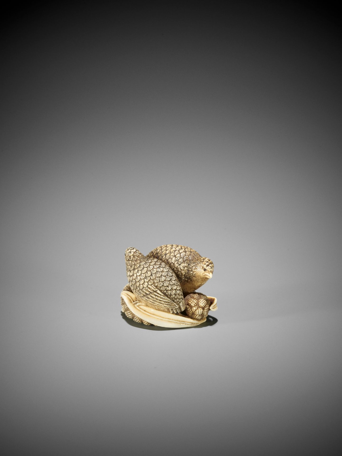 OKATOMO: AN IVORY NETSUKE OF TWO QUAILS ON MILLET - Image 4 of 9