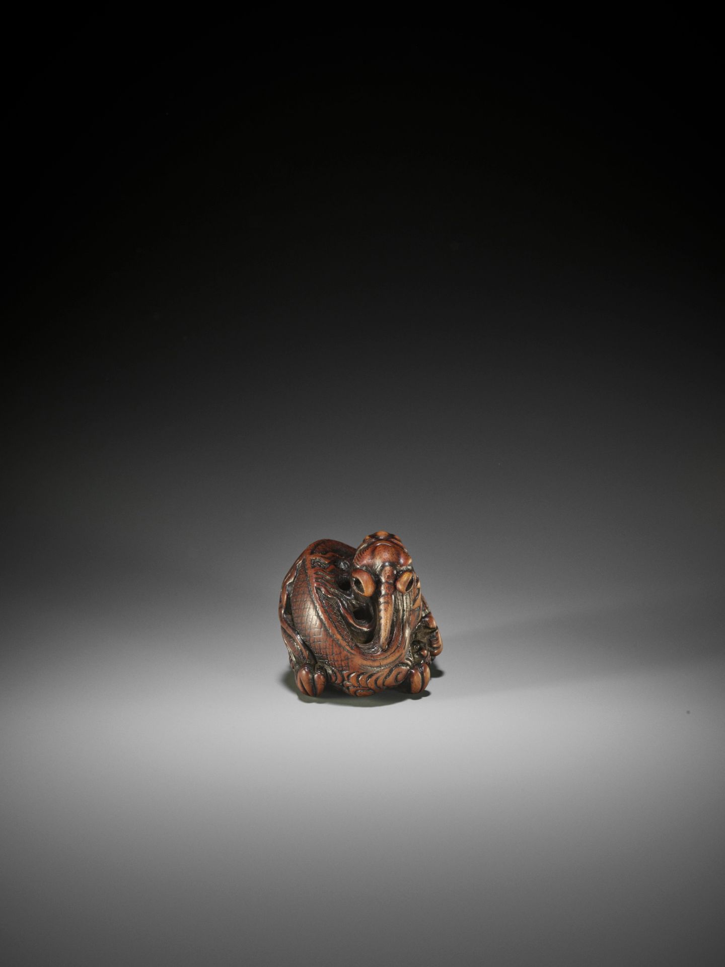 A POWERFUL AND RARE WOOD NETSUKE OF A COILED DRAGON, ATTRIBUTED TO MITSUHARU - Image 7 of 10