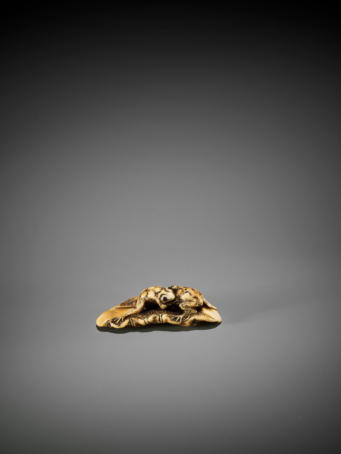 YOSHITOMO: AN IVORY NETSUKE OF TWO FROGS WRESTLING ON A LOTUS LEAF - Image 4 of 11