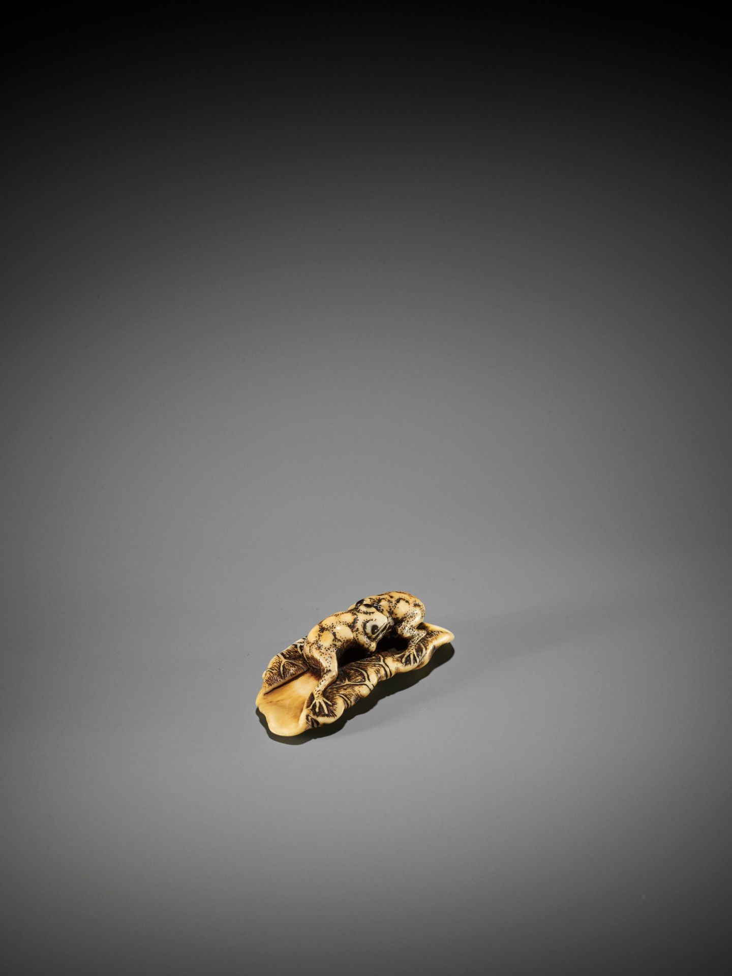 YOSHITOMO: AN IVORY NETSUKE OF TWO FROGS WRESTLING ON A LOTUS LEAF - Image 8 of 11