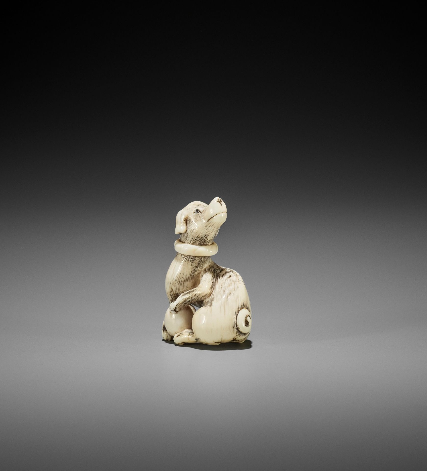 AN IVORY NETSUKE OF A DOG WITH BALL, ATTRIBUTED TO MITSUHARU