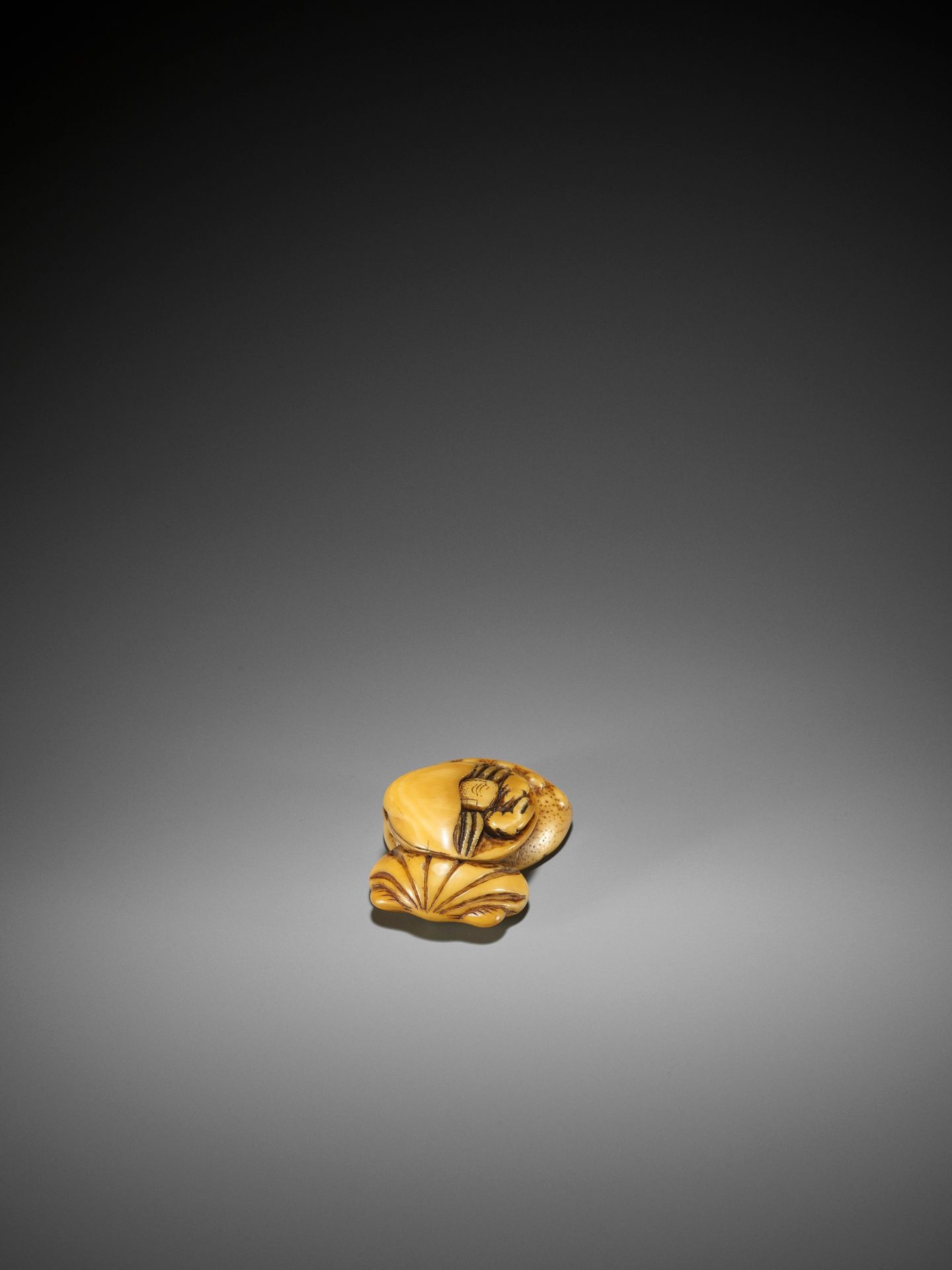 AN EARLY IVORY NETSUKE OF A HERMIT CRAB AND SHELLS - Bild 7 aus 8