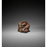 A POWERFUL AND RARE WOOD NETSUKE OF A COILED DRAGON, ATTRIBUTED TO MITSUHARU