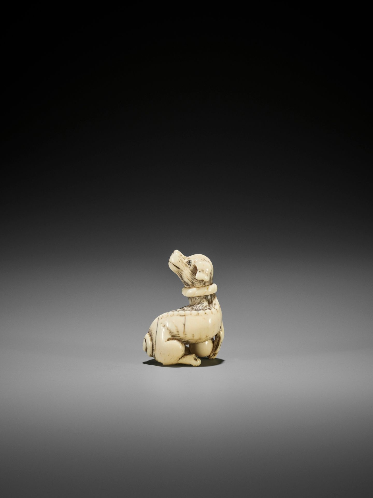 AN IVORY NETSUKE OF A DOG WITH BALL, ATTRIBUTED TO MITSUHARU - Image 3 of 14
