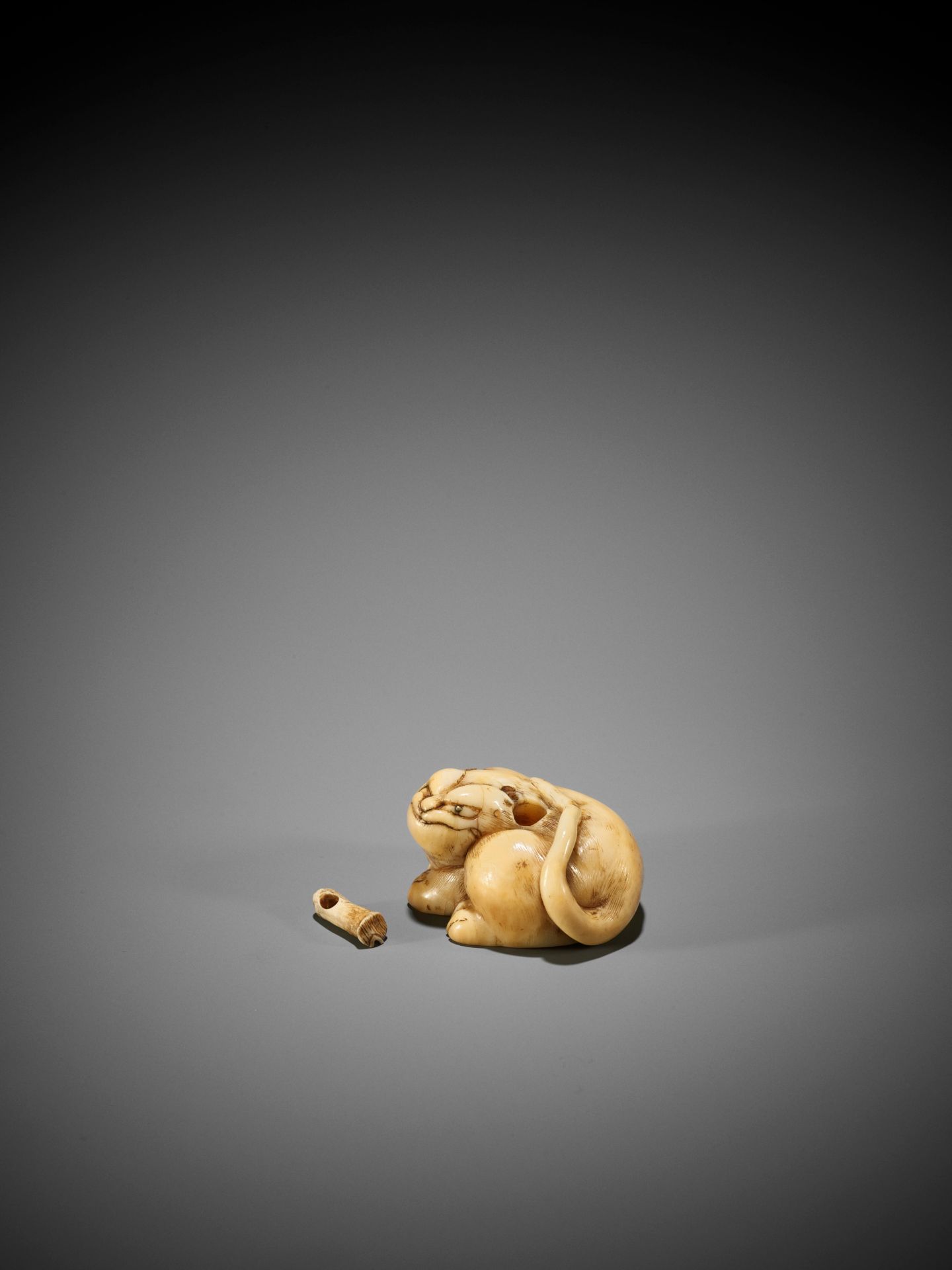 A RARE IVORY ASHTRAY NETSUKE OF A TIGER - Image 5 of 8