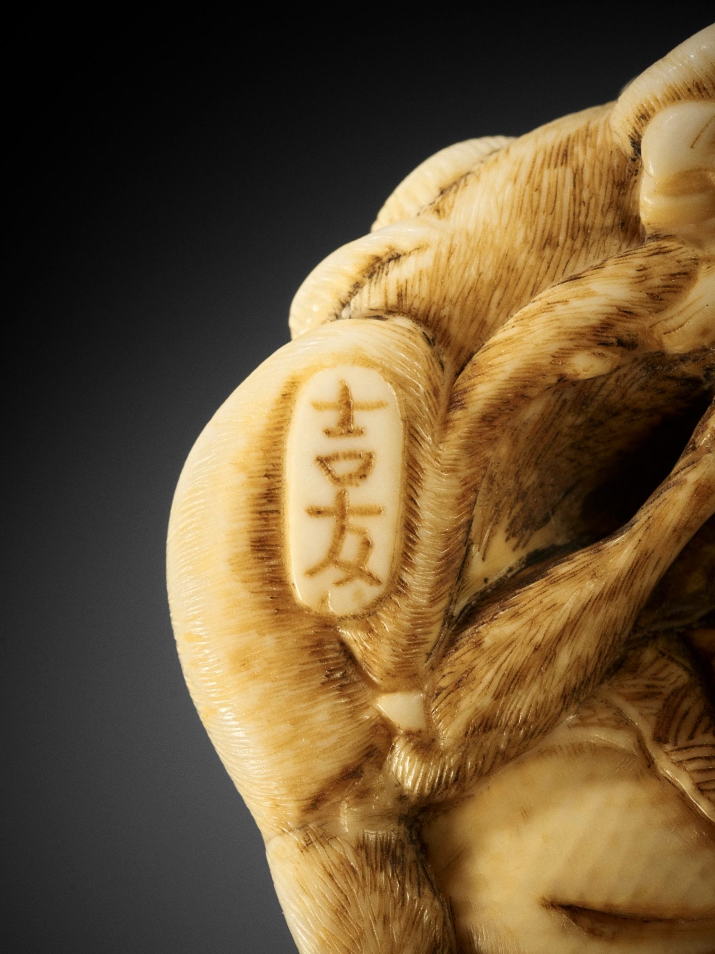 YOSHITOMO: AN IVORY NETSUKE OF JUROJIN AND DEER - Image 8 of 9