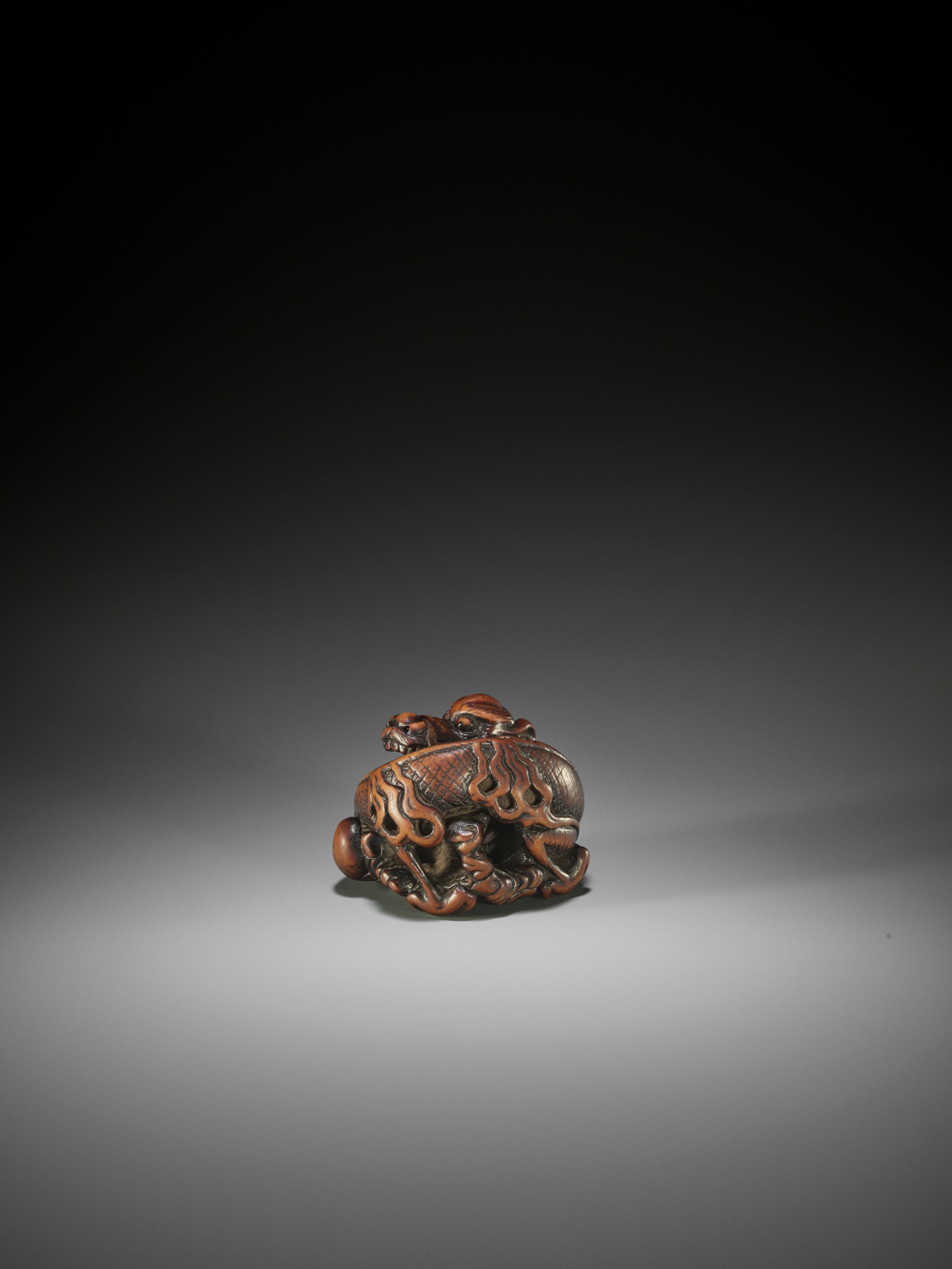 A POWERFUL AND RARE WOOD NETSUKE OF A COILED DRAGON, ATTRIBUTED TO MITSUHARU - Image 2 of 10