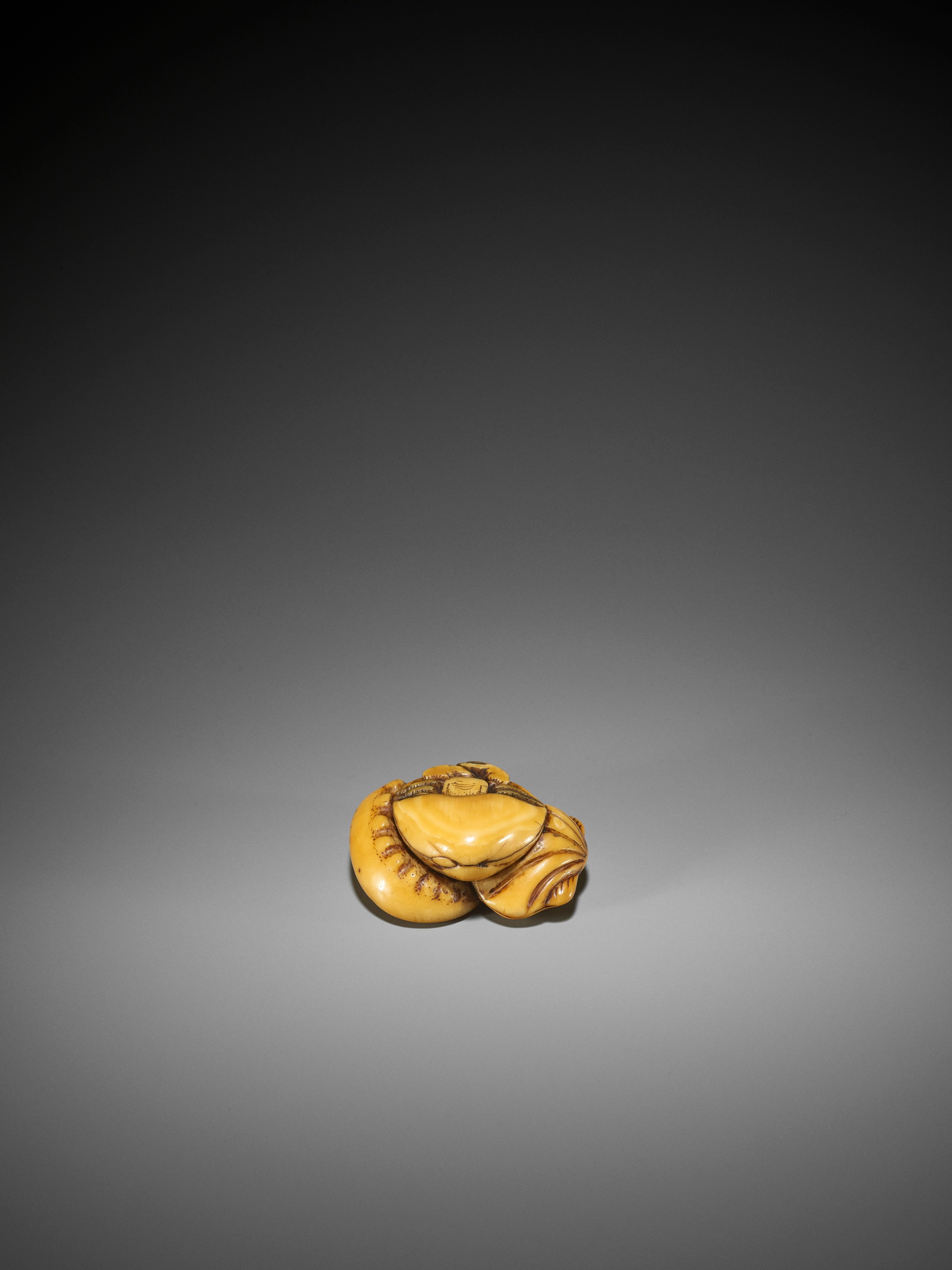 AN EARLY IVORY NETSUKE OF A HERMIT CRAB AND SHELLS - Image 5 of 8