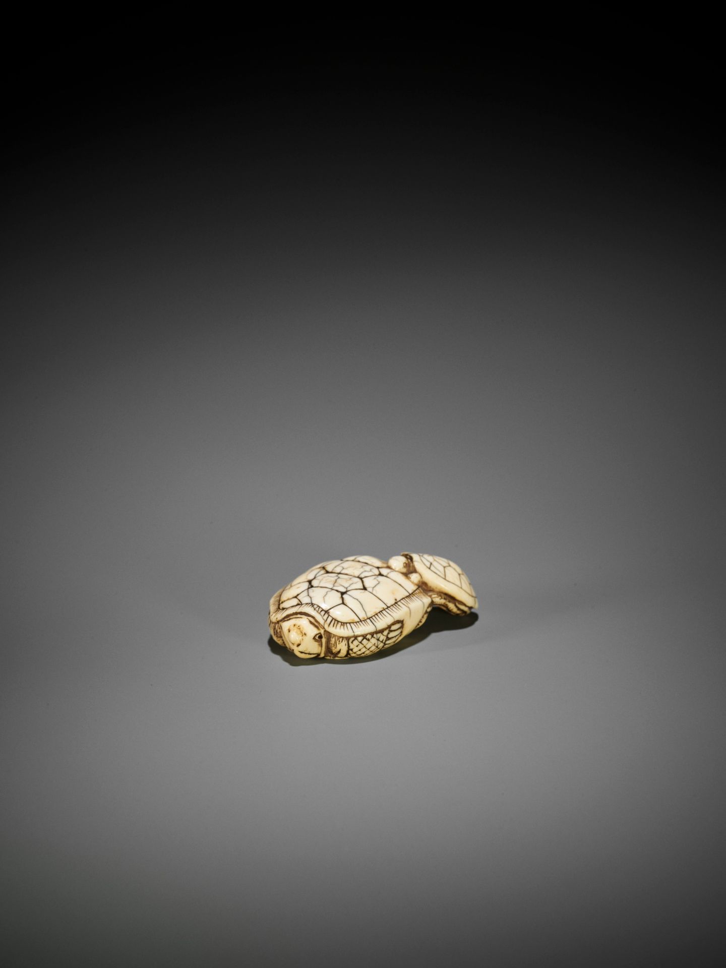 AN OLD IVORY NETSUKE OF A TURTLE WITH YOUNG - Bild 4 aus 10