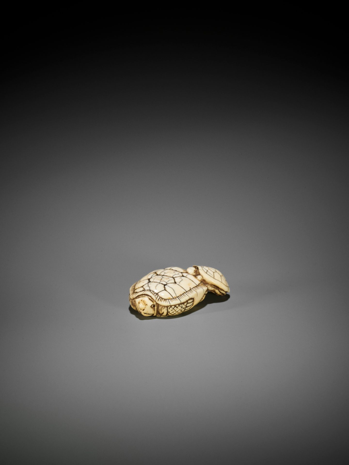 AN OLD IVORY NETSUKE OF A TURTLE WITH YOUNG - Image 4 of 10