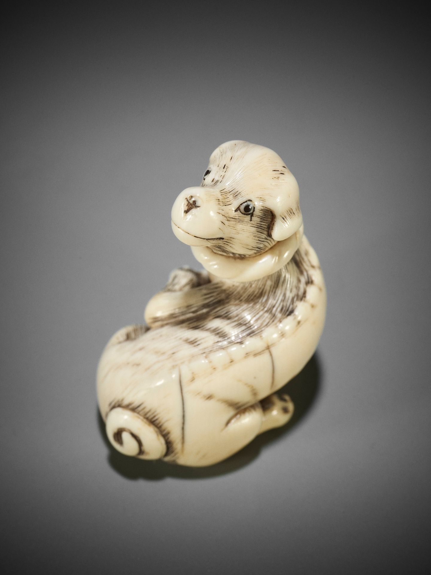 AN IVORY NETSUKE OF A DOG WITH BALL, ATTRIBUTED TO MITSUHARU - Image 2 of 14