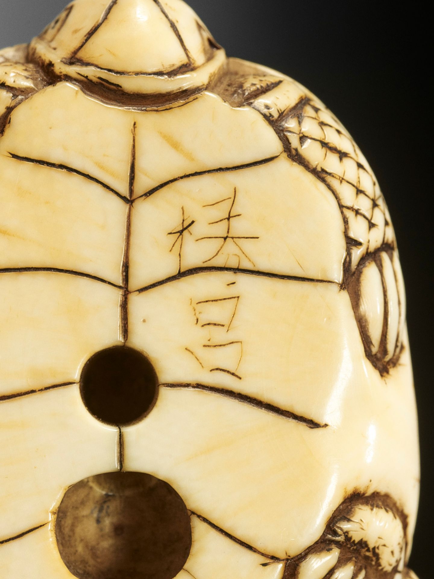 AN OLD IVORY NETSUKE OF A TURTLE WITH YOUNG - Bild 10 aus 10