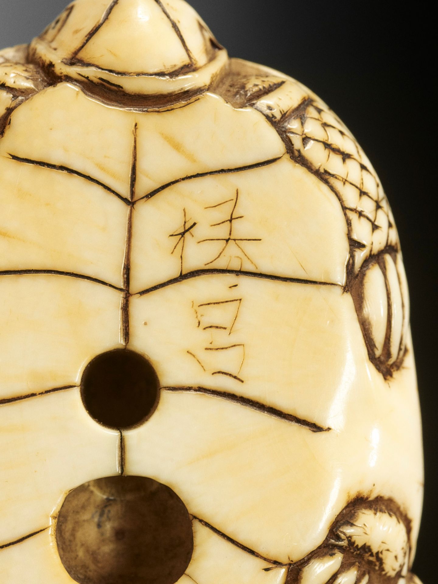 AN OLD IVORY NETSUKE OF A TURTLE WITH YOUNG - Image 10 of 10