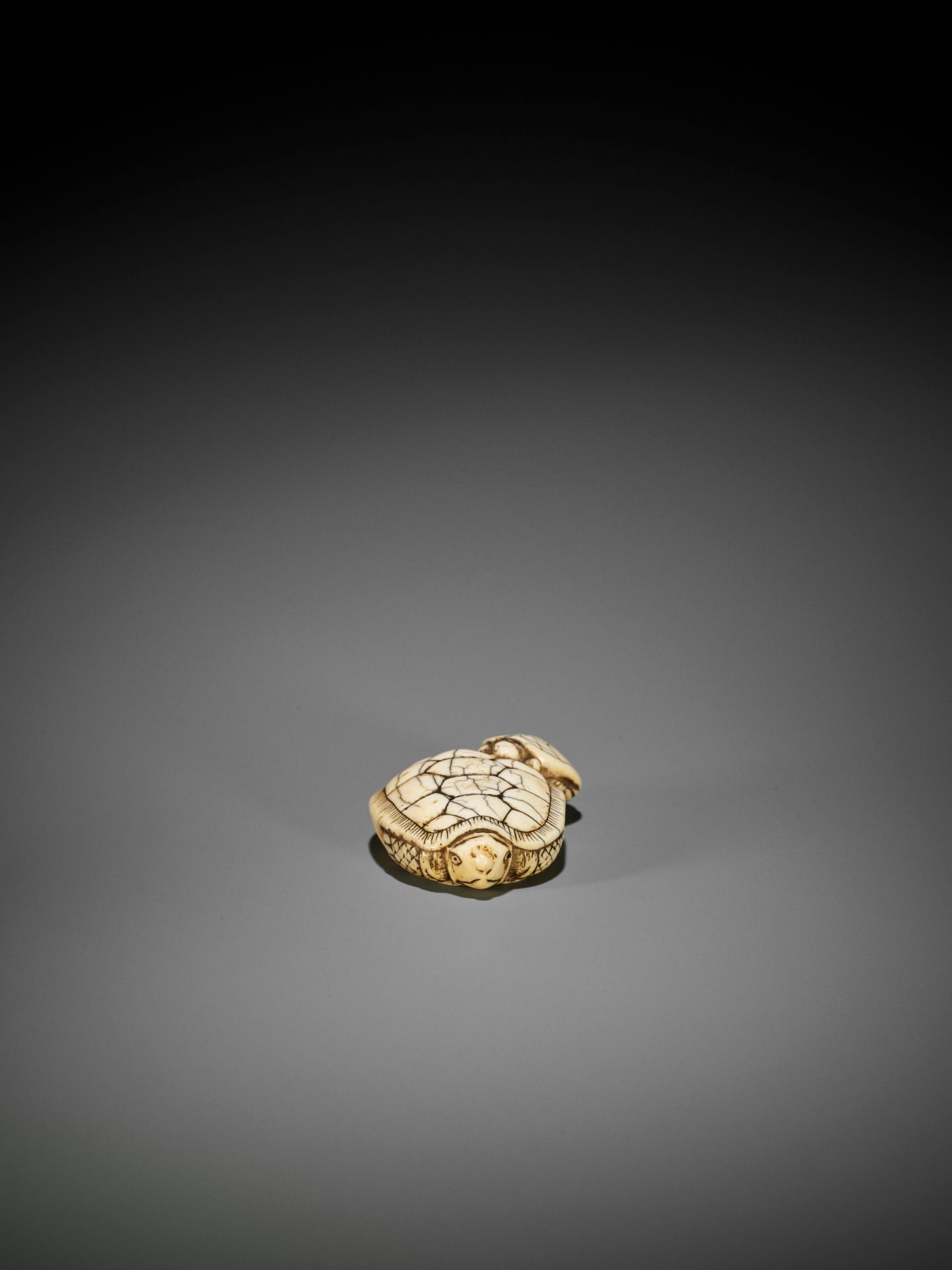 AN OLD IVORY NETSUKE OF A TURTLE WITH YOUNG - Bild 5 aus 10