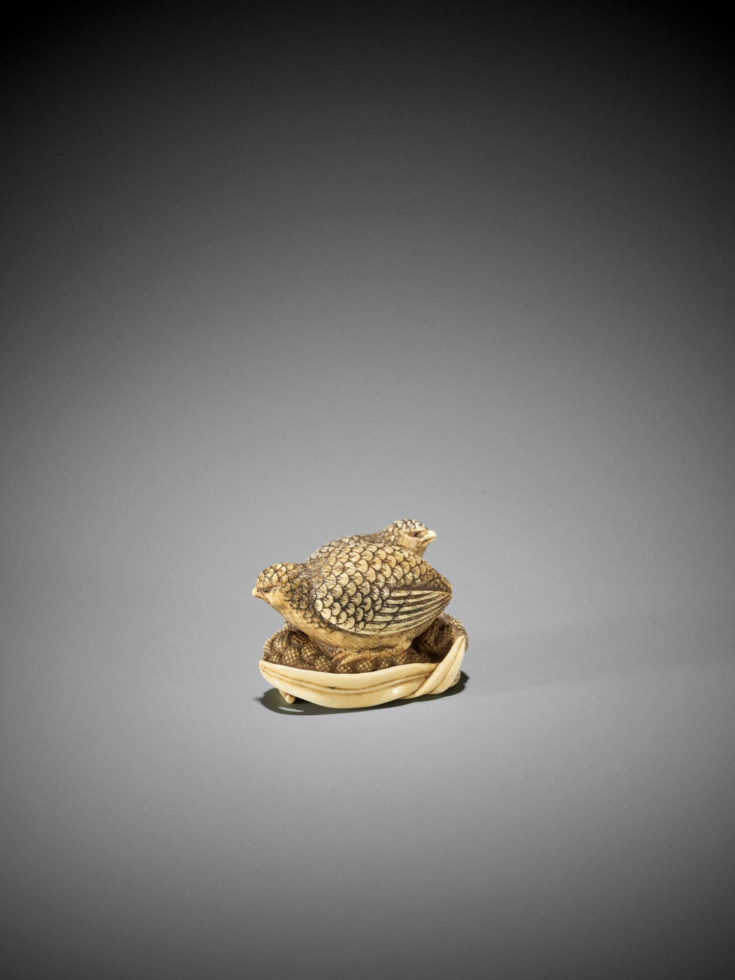 OKATOMO: AN IVORY NETSUKE OF TWO QUAILS ON MILLET - Image 8 of 9