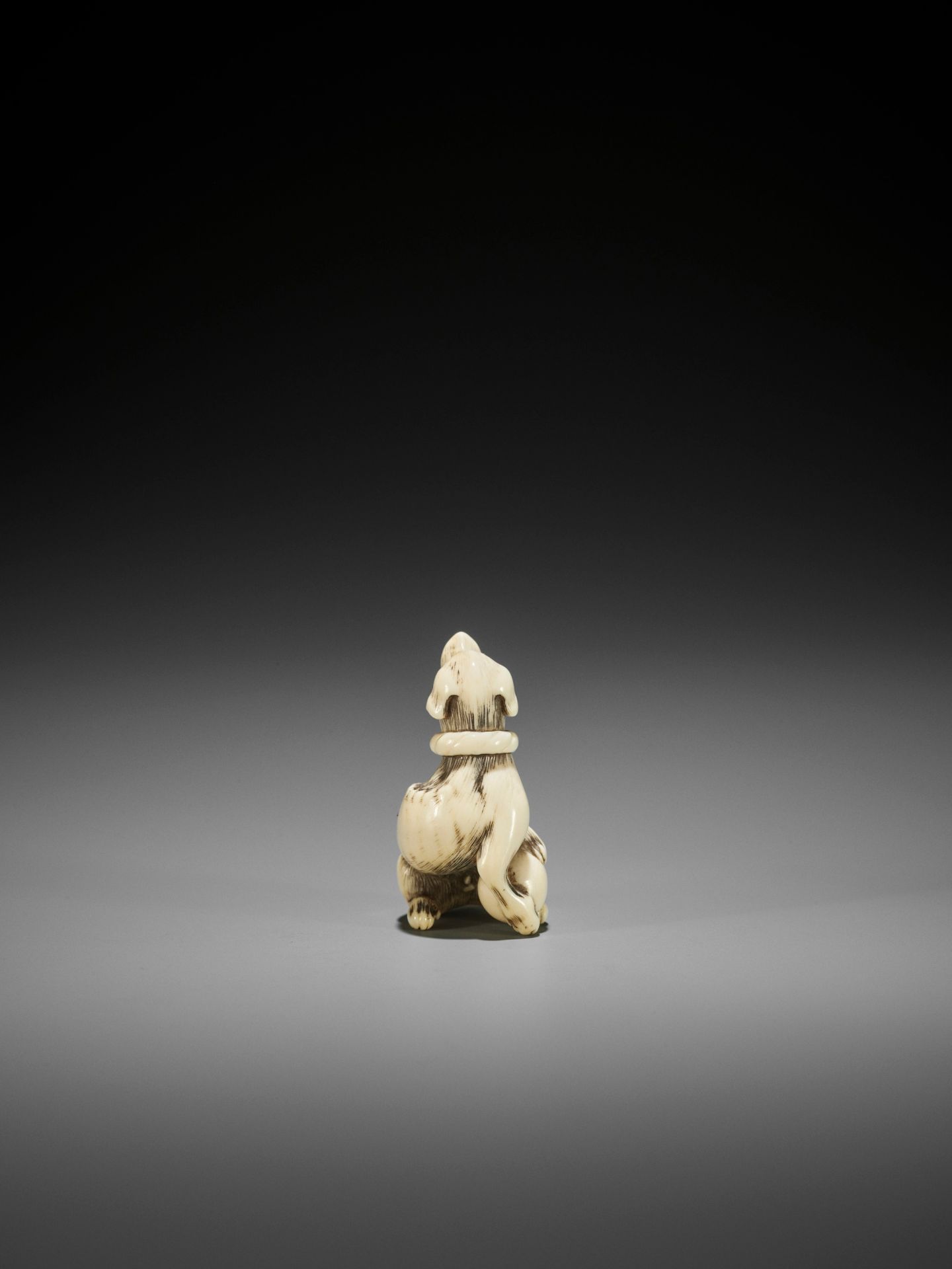 AN IVORY NETSUKE OF A DOG WITH BALL, ATTRIBUTED TO MITSUHARU - Image 8 of 14