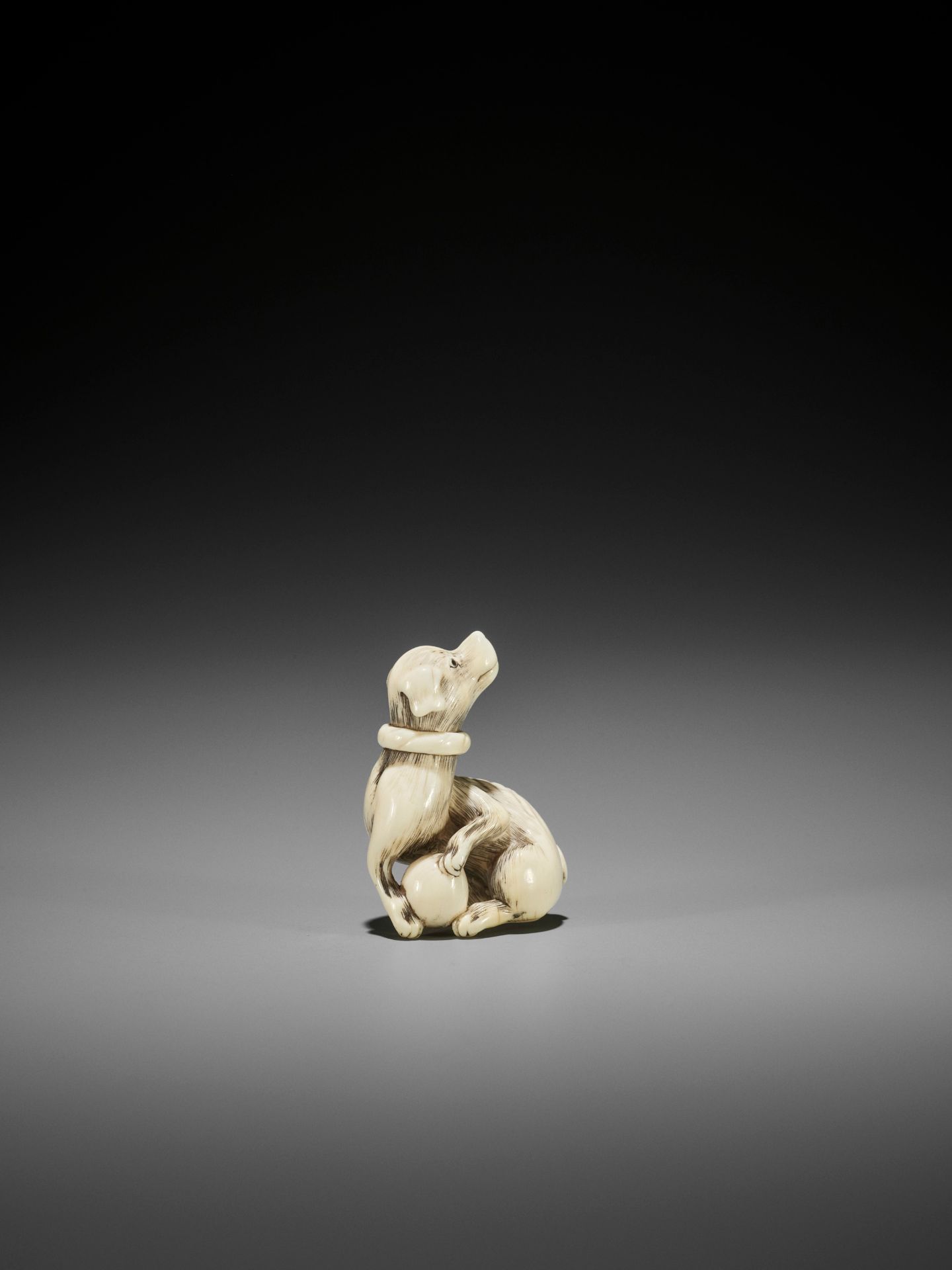 AN IVORY NETSUKE OF A DOG WITH BALL, ATTRIBUTED TO MITSUHARU - Image 6 of 14