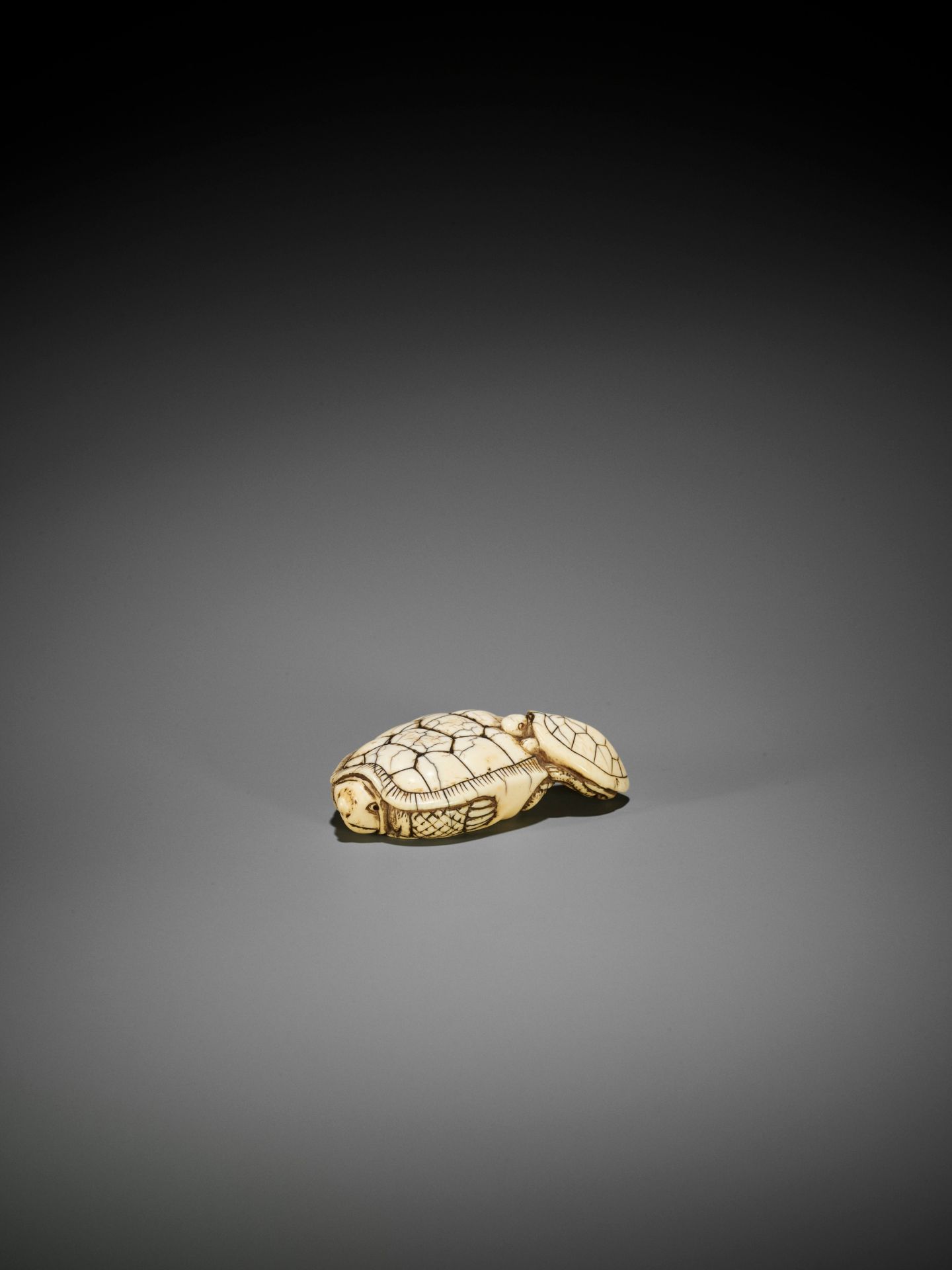 AN OLD IVORY NETSUKE OF A TURTLE WITH YOUNG - Image 3 of 10