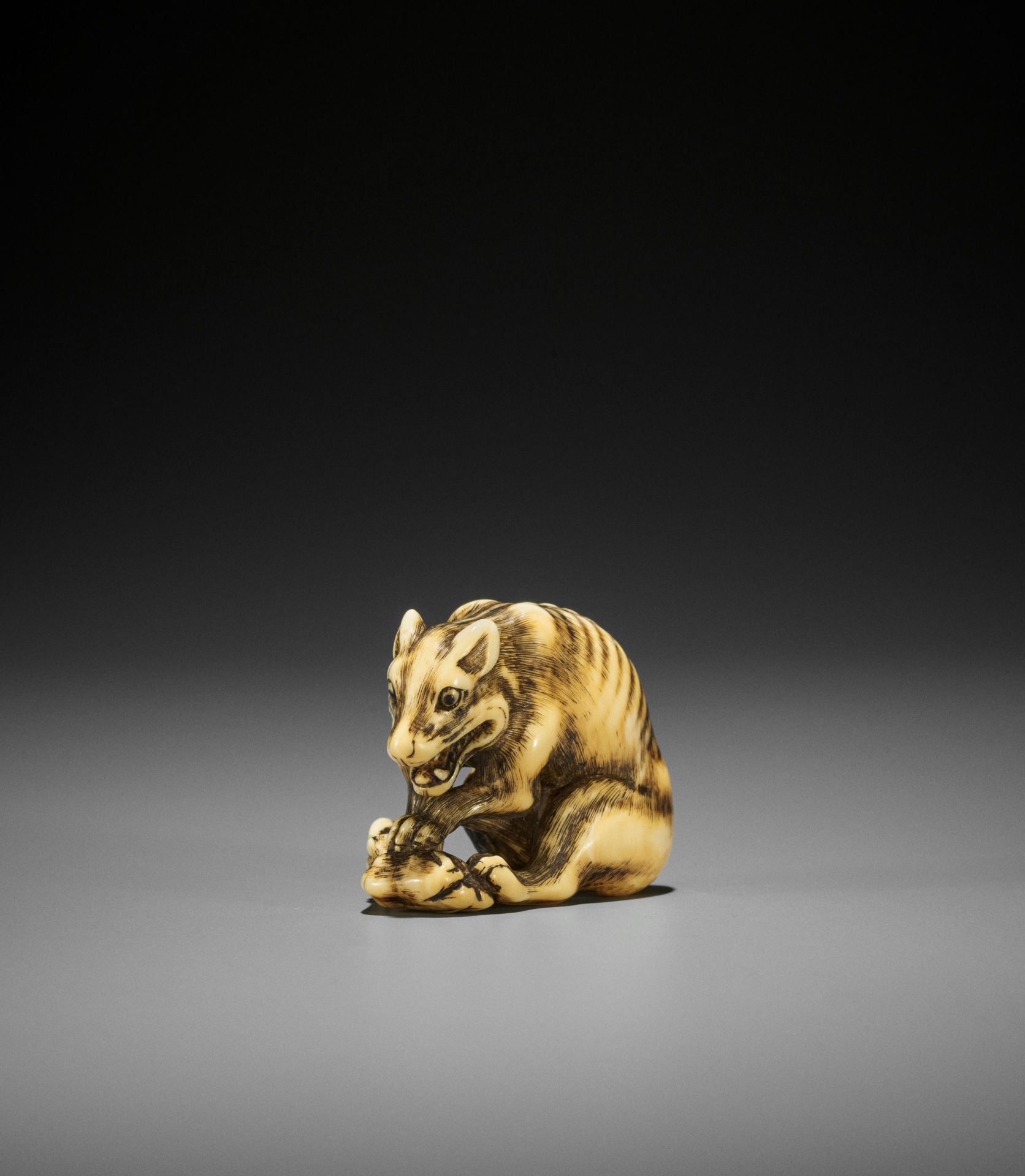 TOMOTADA: A FINE IVORY NETSUKE OF A WOLF WITH HAUNCH OF VENISON